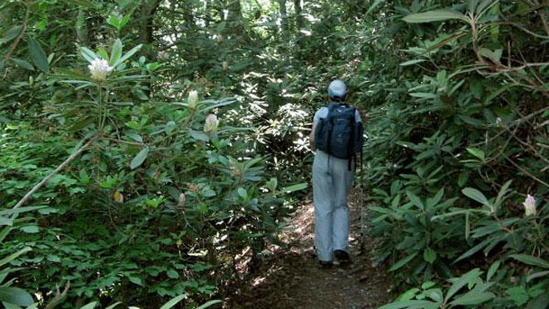 The Appalachian Trail near the tiny Blue Ridge Mountain town of Hot Springs, N.C.