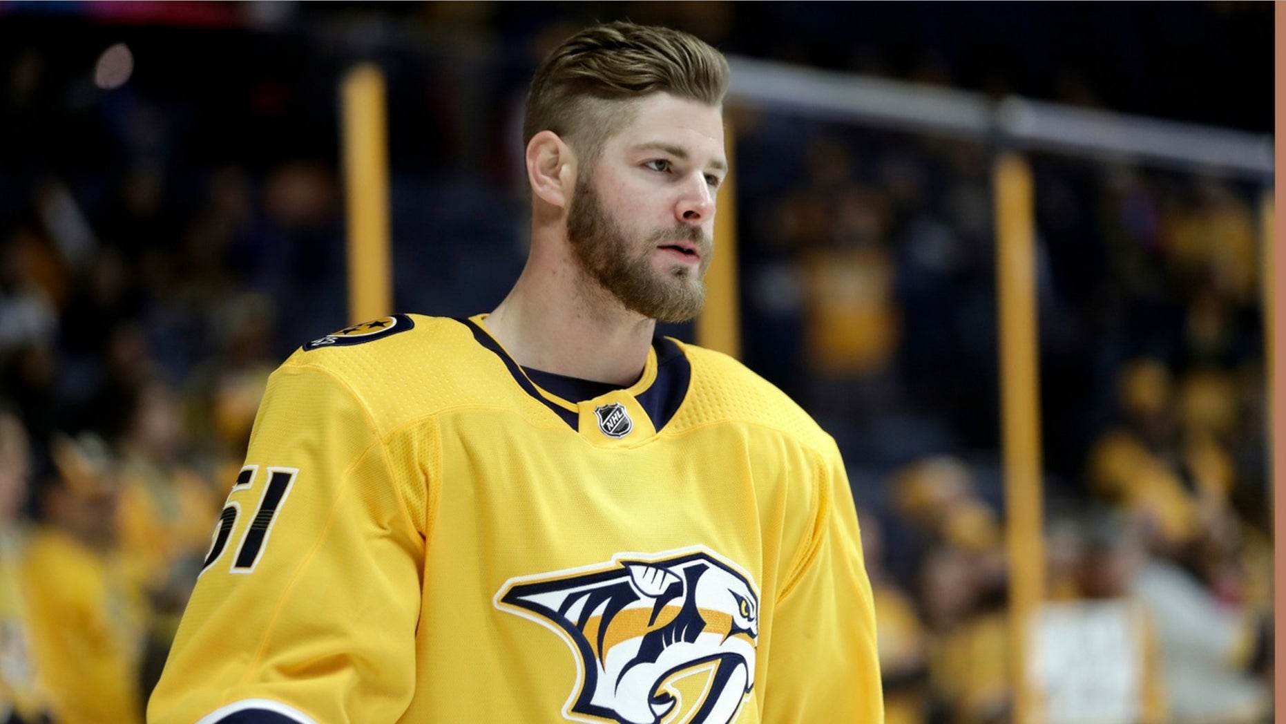 Nashville Predators star Austin Watson was arrested by police in Tennessee on Saturday on a charge of domestic assault.