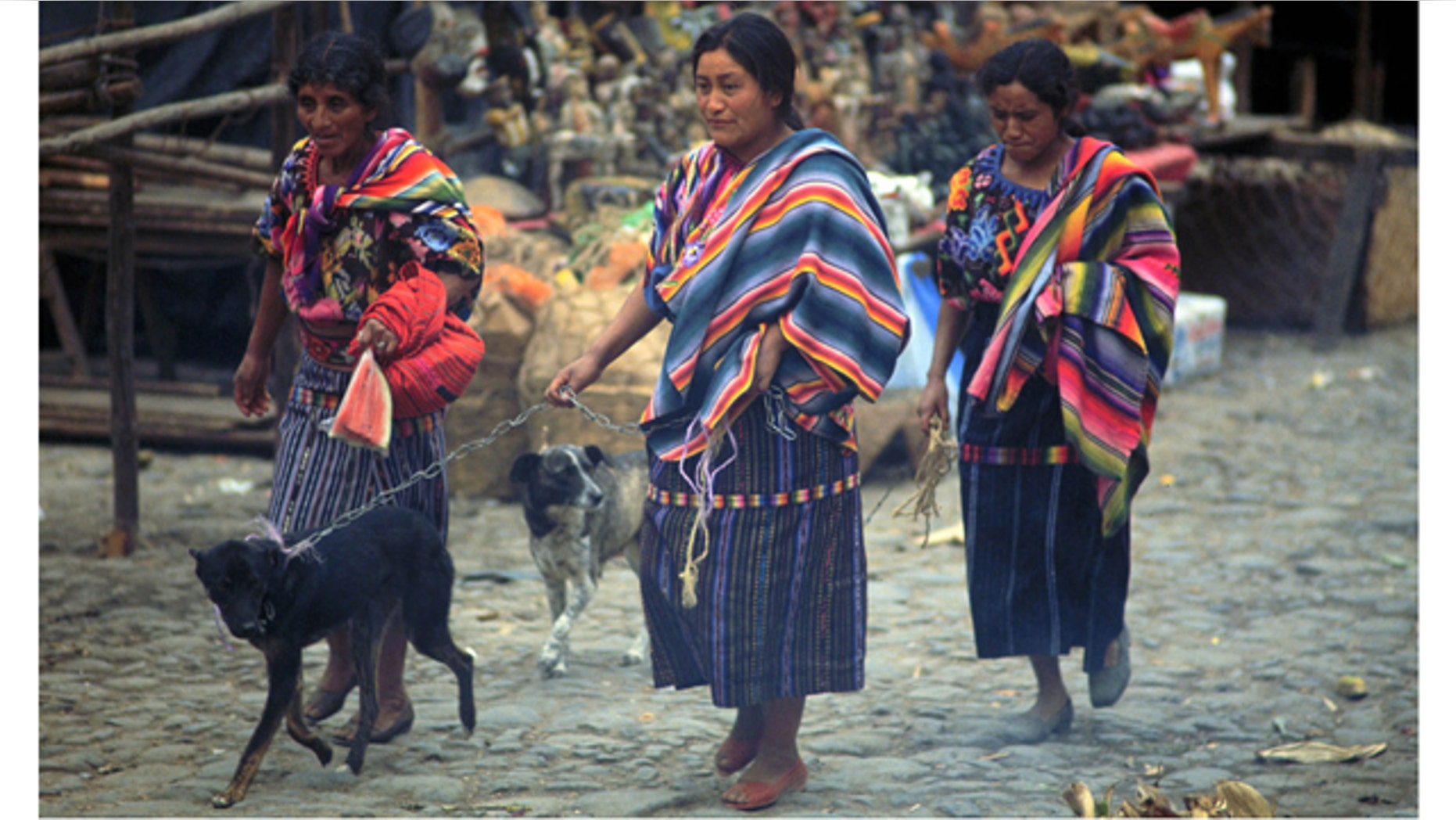 In Guatemala, height differences between the wealthiest women and the poorest was 8 centimeters, or about 3 inches, with the wealthiest women averaging 5 feet 1 inches and the poorest 4 feet 8 inches.