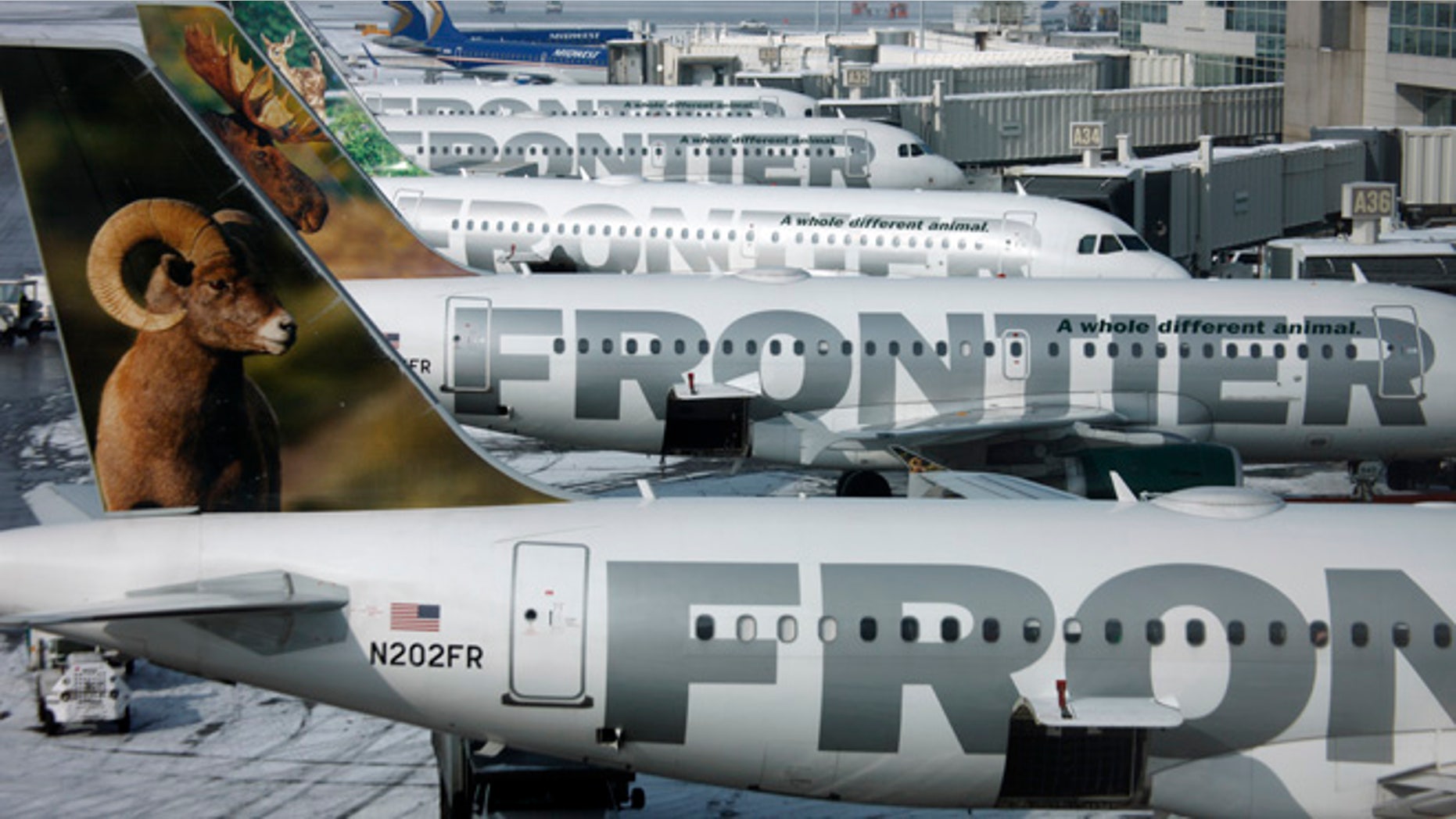 Frontier Airlines announced on Wednesday that it will penalize passengers who dont book directly with the airline.