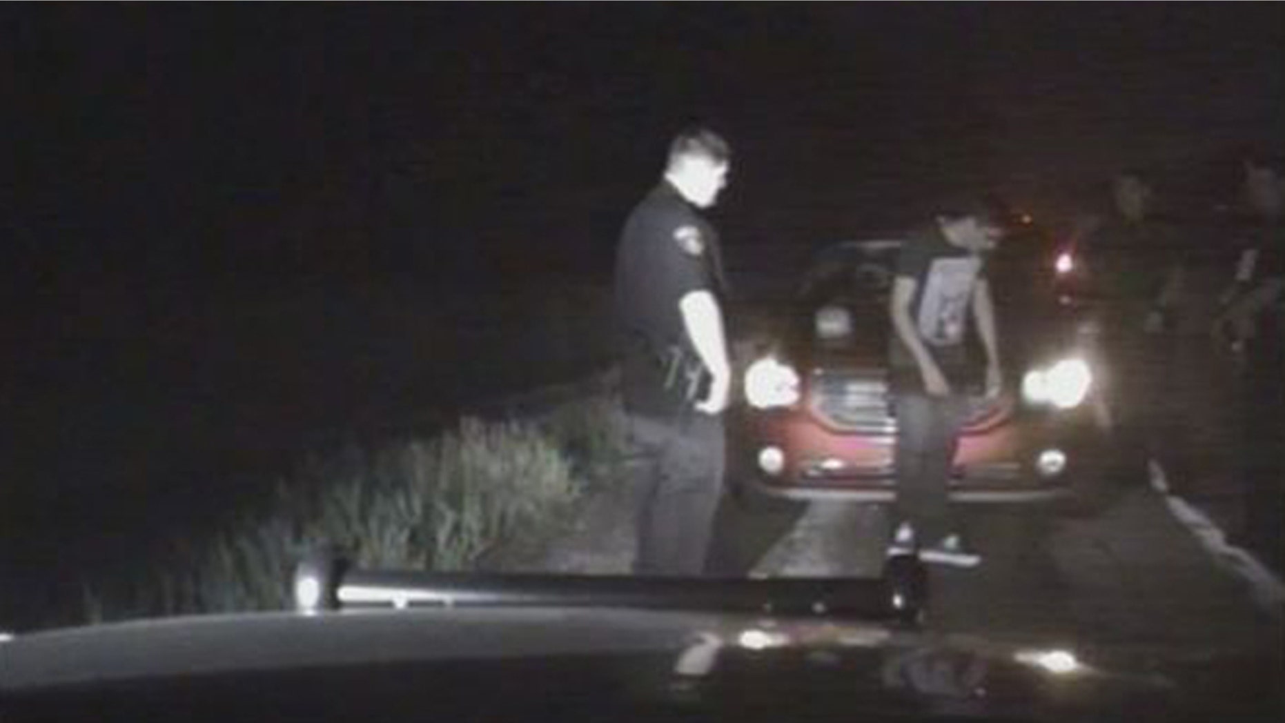 Police dashcam video shows drunk driving suspect Aaron Zueno outside his vehicle. (Fox 2 Detroit)