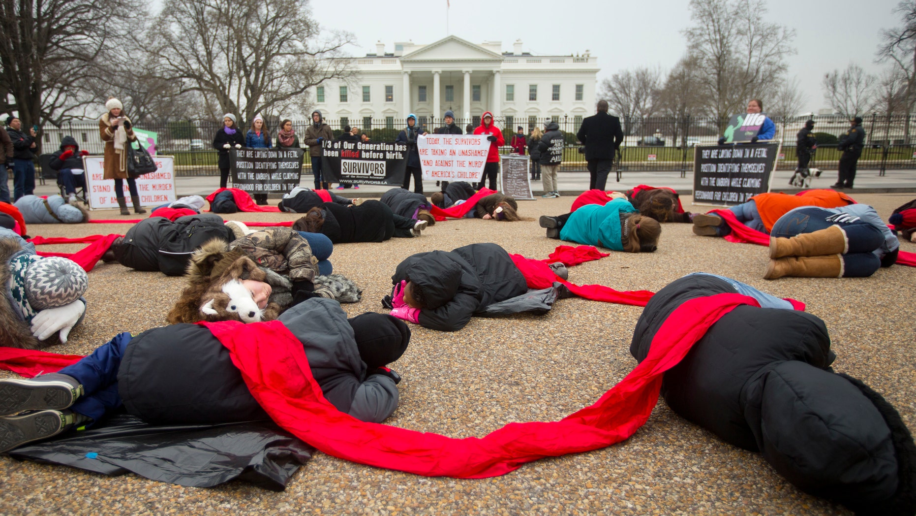 FILE - In a Wednesday, Jan. 21, 2015, file photo, anti-abortion rights activists are connected with a red piece of cloth as they stage a 'die-in' in front of the White House in Washington. Even as the 2016 election outcome intensifies America's abortion debate, a comprehensive new survey released Tuesday, Jan. 17, 2017 by the Guttmacher Institute finds the annual number of abortions in the U.S has dropped to well under 1 million, the lowest level since 1974. (AP Photo/Pablo Martinez Monsivais, File)