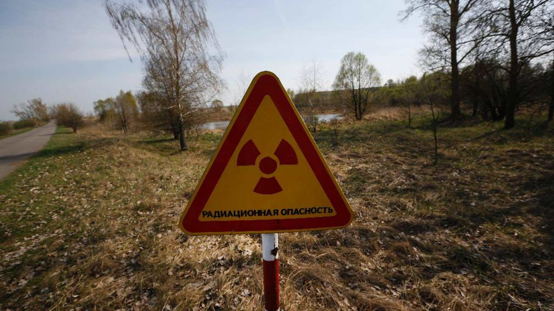 FILE - In this Monday, April 11, 2016, file photo, a radiation warning sign stands near a checkpoint in an exclusion zone around the Chernobyl nuclear reactor, southeast of Minsk, Belarus. A Belarus court on Thursday Dec. 22, 2016 ruled against an Associated Press correspondent in a lawsuit by a dairy company that claimed an AP article about farming on fallout-damaged land hurt its reputation. (AP Photo/Sergei Grits, File)