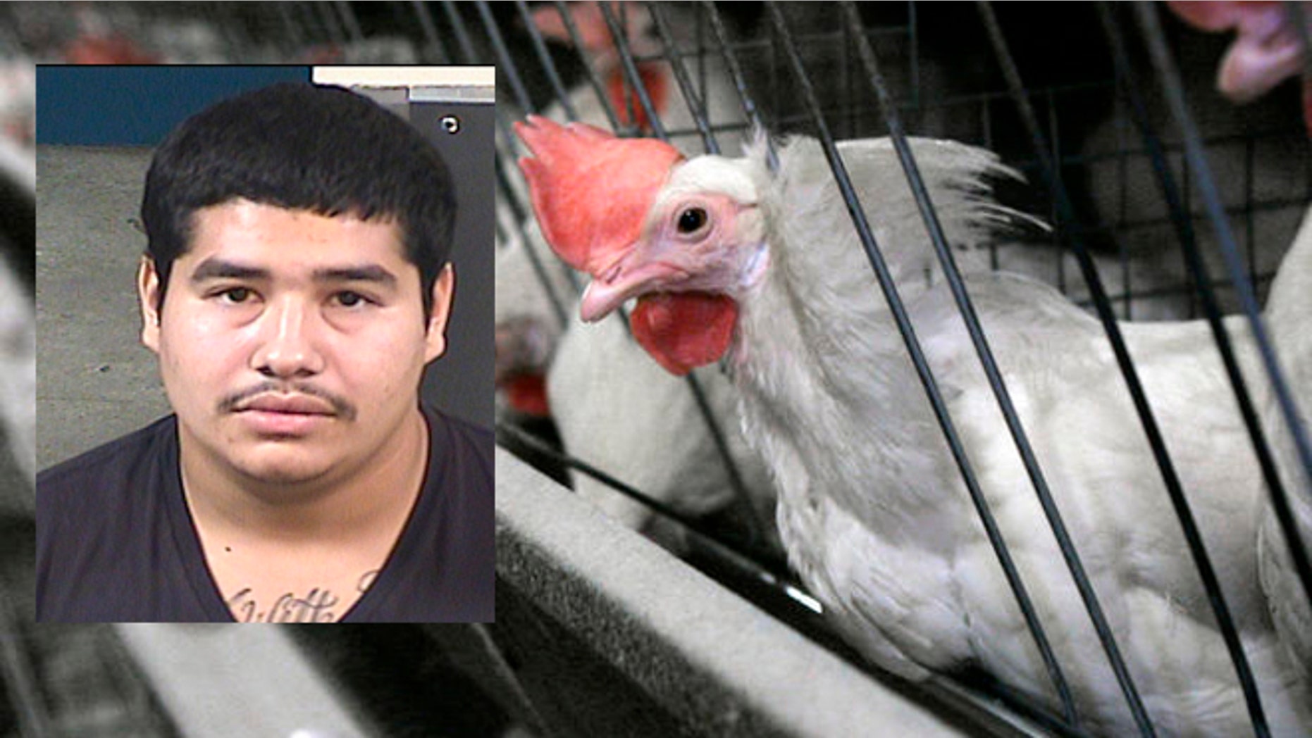 Gabriel Quintero, 18, of Riverdale is one of the suspects.