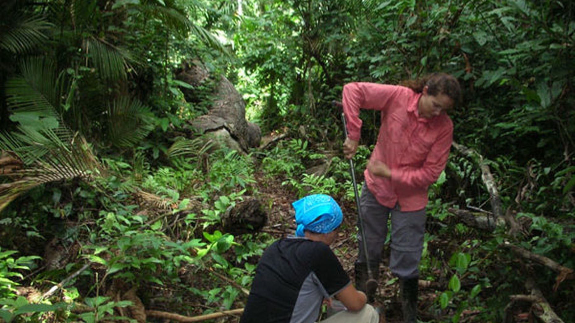 Crystal McMichael and Monica Zimmerman collect soil samples in the tropical rainforests of Peru.