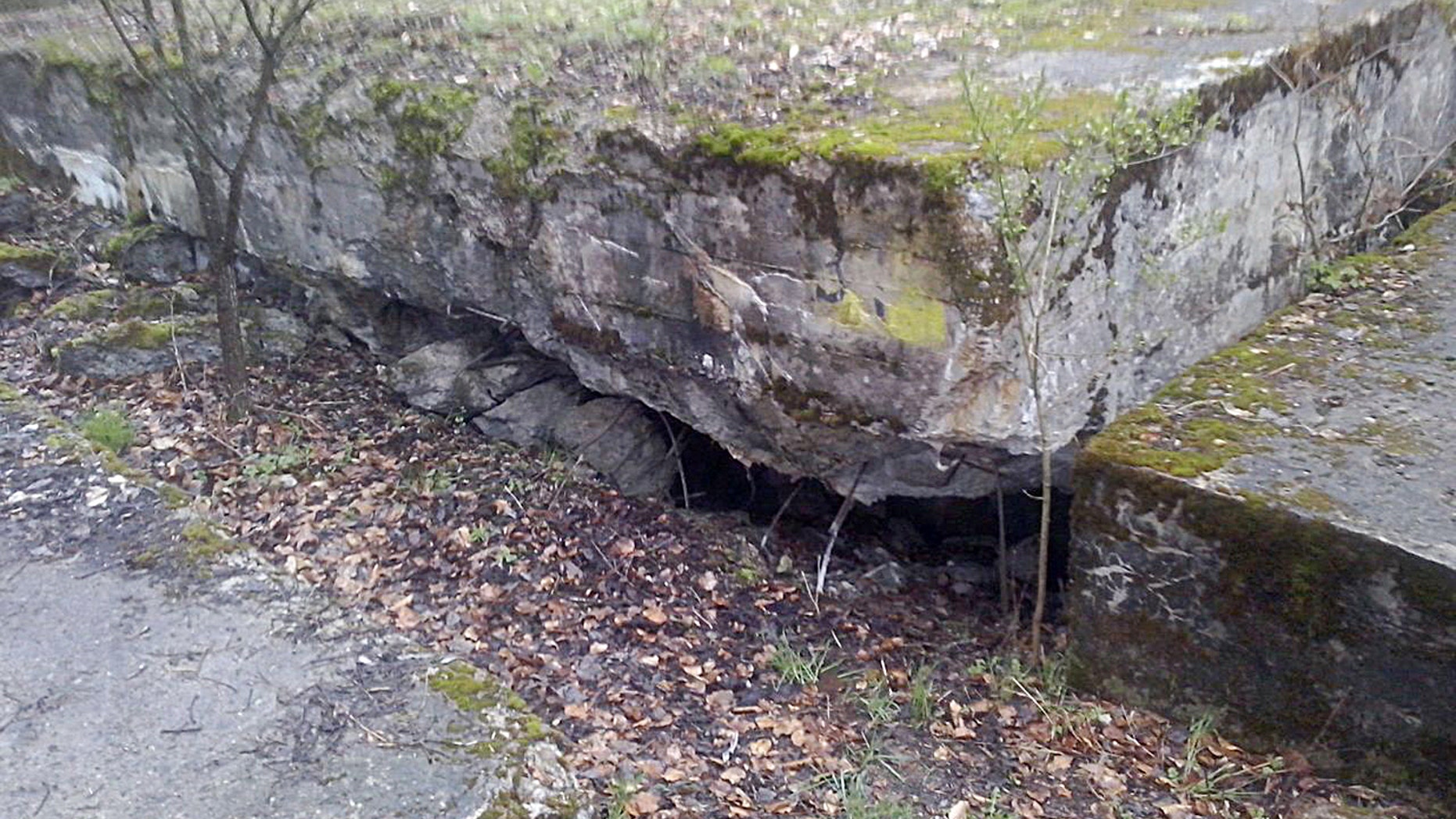 Polish Historian Hopes Crumbling Bunker Hides Amber Room