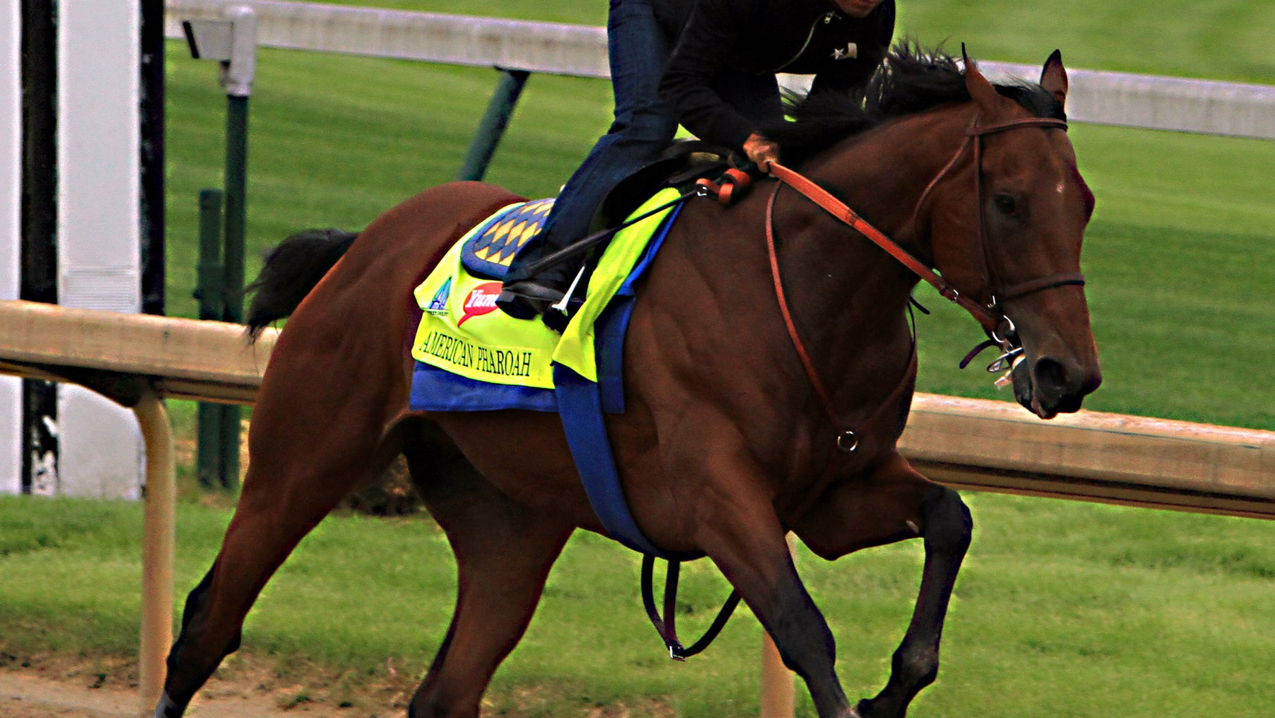 April 26: Martin Garcia rides Kentucky Derby hopeful American Pharoah during a morning workout at Churchill Downs in Louisville, Ky.
