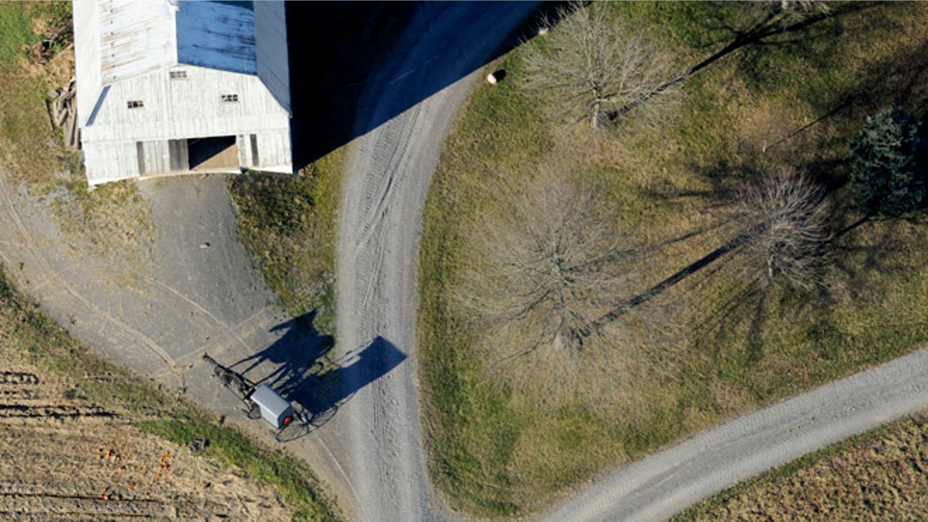 Nov. 20, 2013: An Amish buggy heads down a driveway to a farm off of Greenleaf Road near Washingtonville, Pa.,