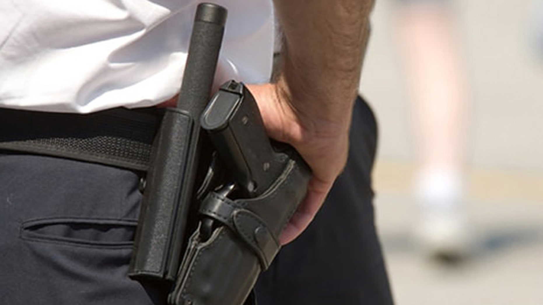 The police who once carried the weapons were reportedly interested in buying them, but Honolulu officials had them destroyed. (Ammoland.com)