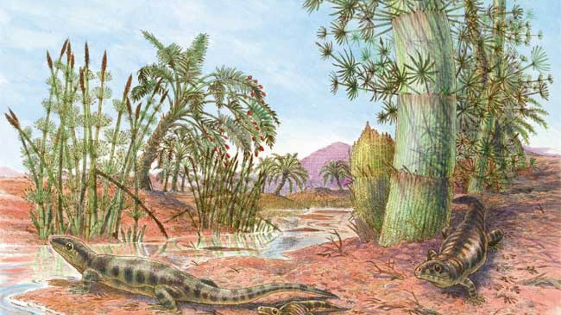 Fossil tracks suggest an ancient reptile was about the size of a gecko and lived in an Outback-like environment some 318 million years ago.
