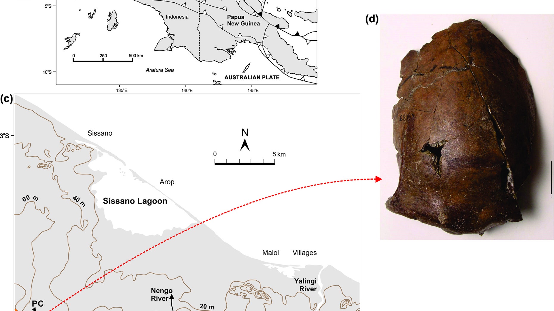 Site location and skeletal remains. (Credit: Goff J, Golitko M, Cochrane E, Curnoe D, Williams S, Terrell J (2017) )