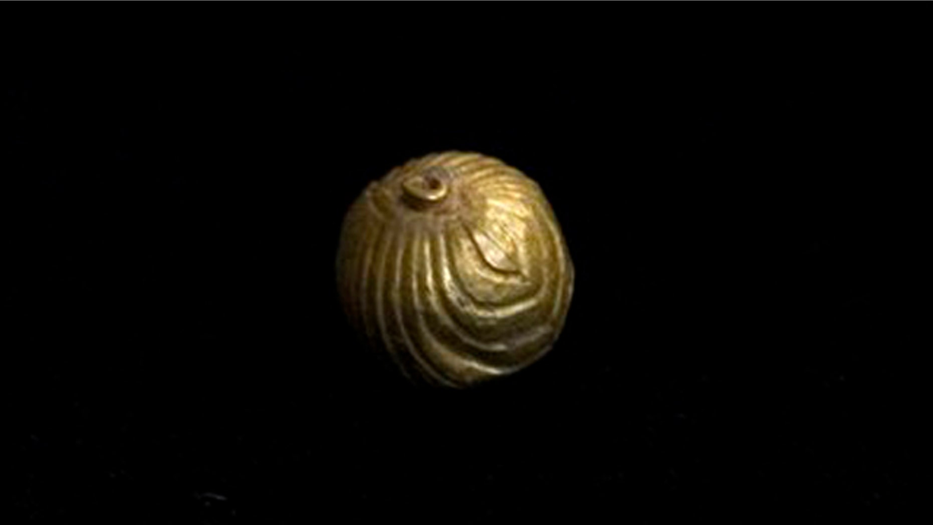 A gold bell is displayed at the offices of IAA, Israel's Antiquities Authority in Jerusalem, Sunday, July 24, 2011.