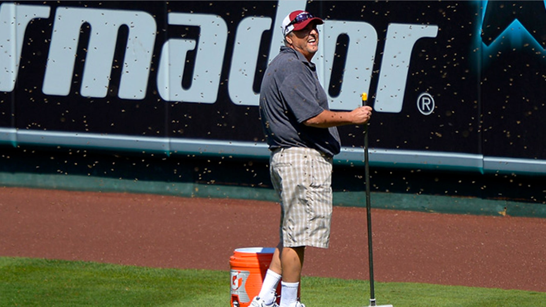 Sept. 22, 2013: Apiarist John Potom, of Honey Pacifica, deals with a swarm of bees that held up a baseball game between the Los Angeles Angels and the Seattle Mariners for several minutes during the third inning on in Anaheim, Calif.