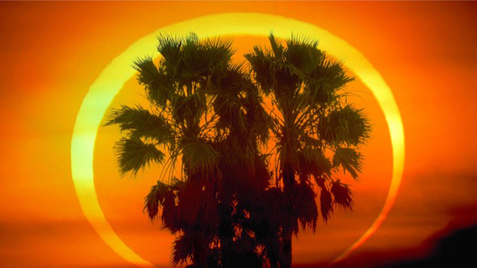 A spectacular annular eclipse photographed behind palm trees in 1992. On Friday, India launched a floatila of rockets to see how today's eclipse affected the Earth's atmosphere.