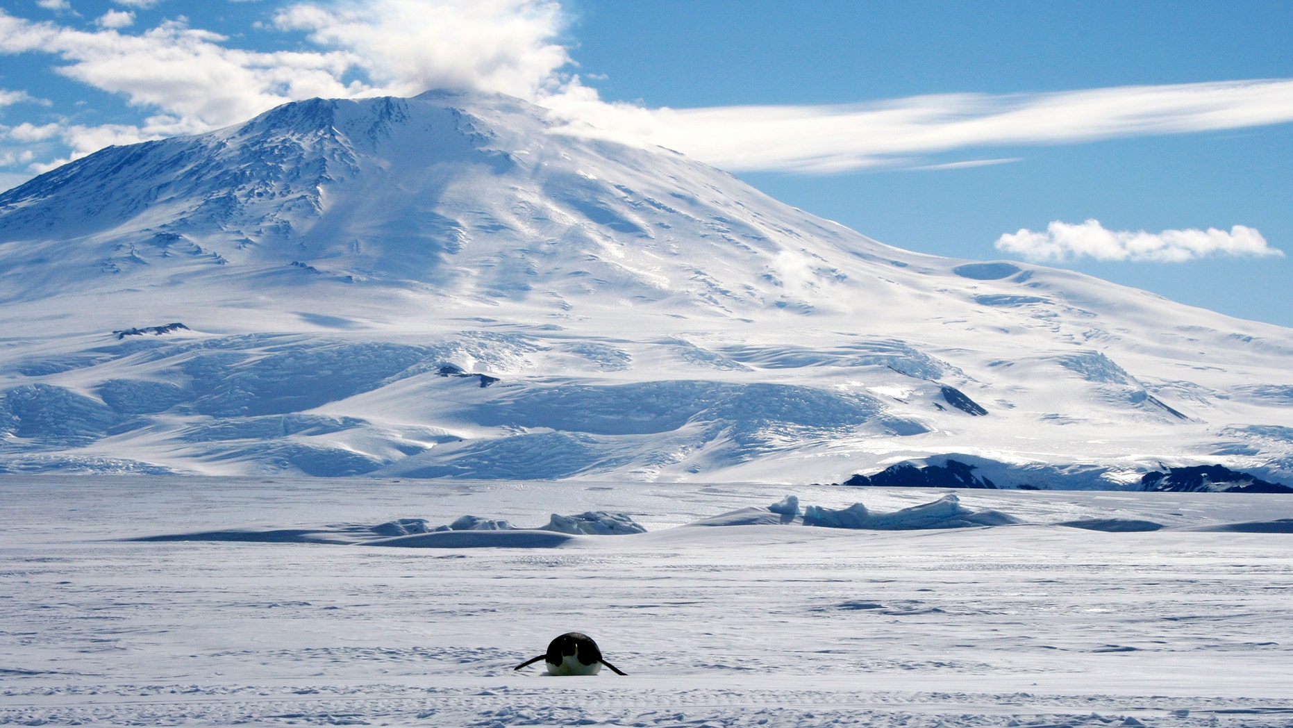 File photo: A lone foraging emperor penguin "toboggans" on its belly across the frozen Ross Sea, with the live volcano Mount Erebus in the background, off Ross Island, Antarctica, December 9, 2006. (REUTERS/Deborah Zabarenko)