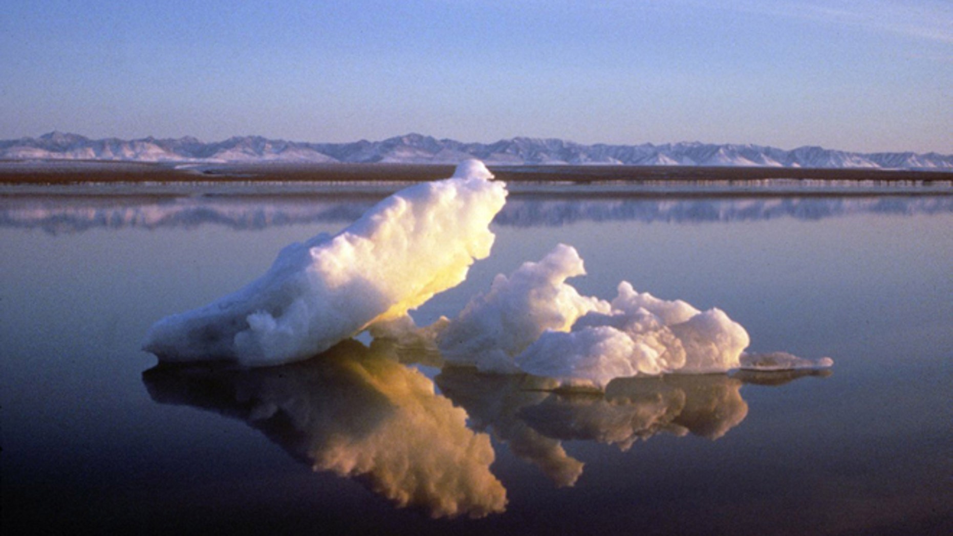 Sea ice floats within the 1002 Area of the Arctic National Wildlife Refuge in this undated handout photo provided by the U.S. Fish and Wildlife Service Alaska Image Library.