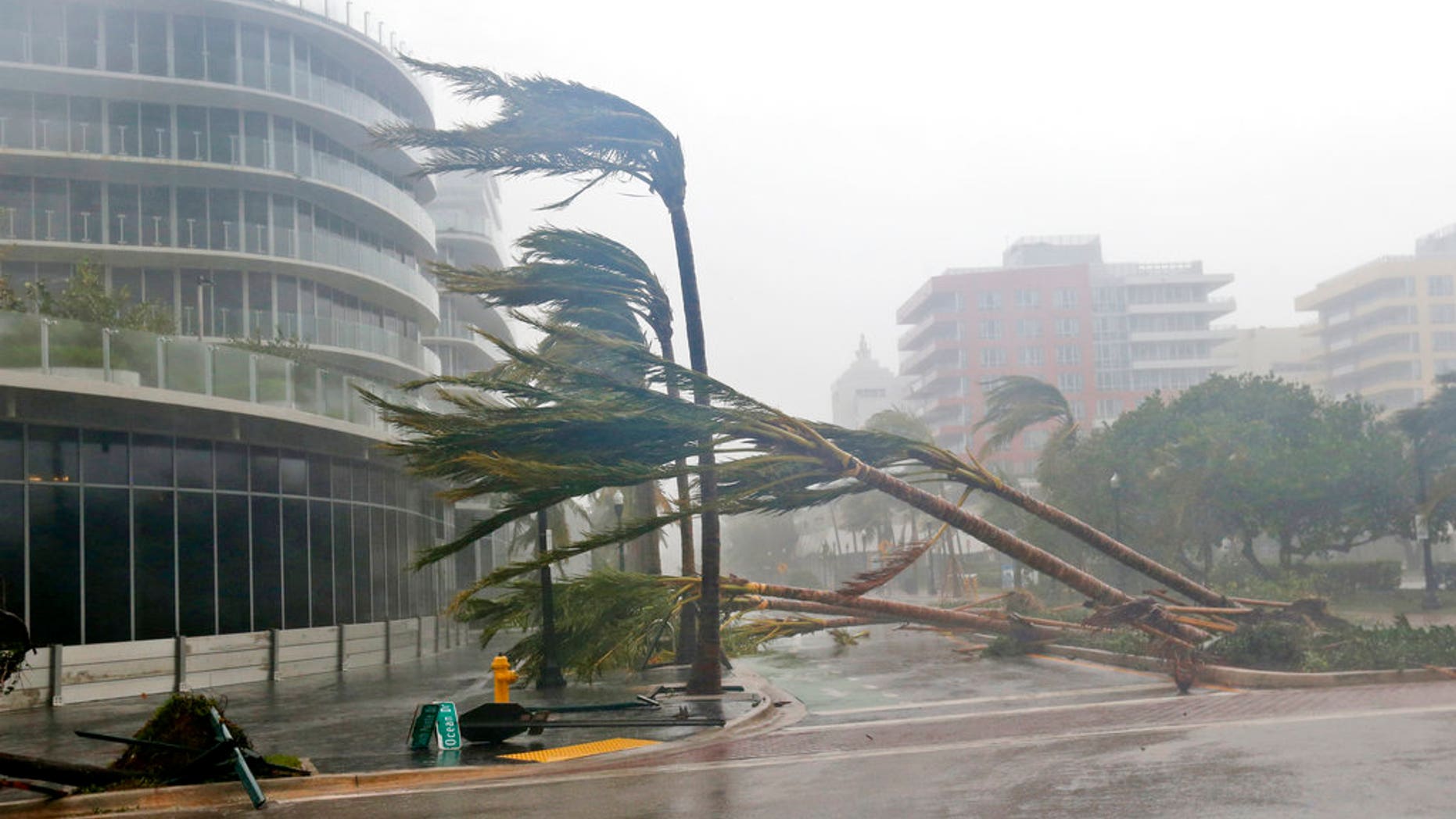 Palm trees lie strewn across the road in Miami Beach.