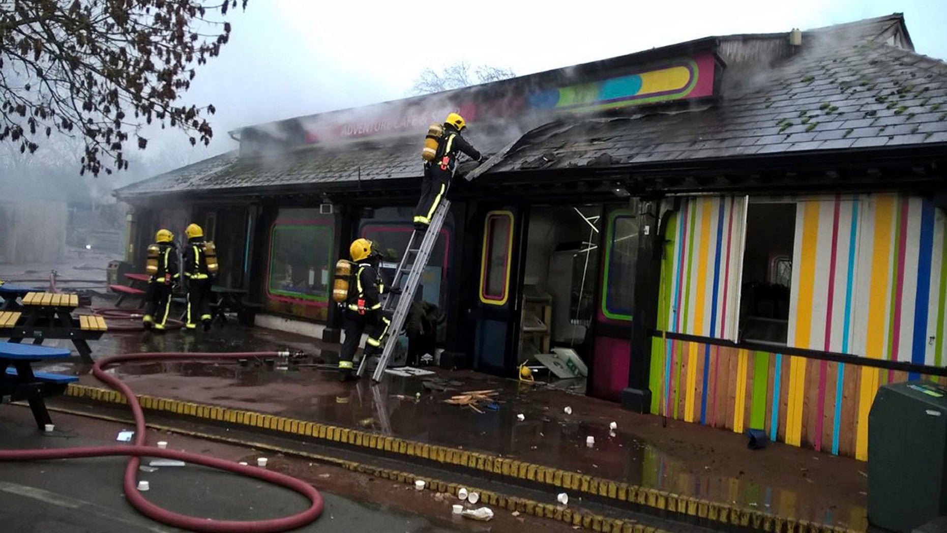 Officials at the world-renowned London Zoo said a fire that broke out before the facility opened Saturday morning left one aardvark dead and four meerkats missing and presumed dead.