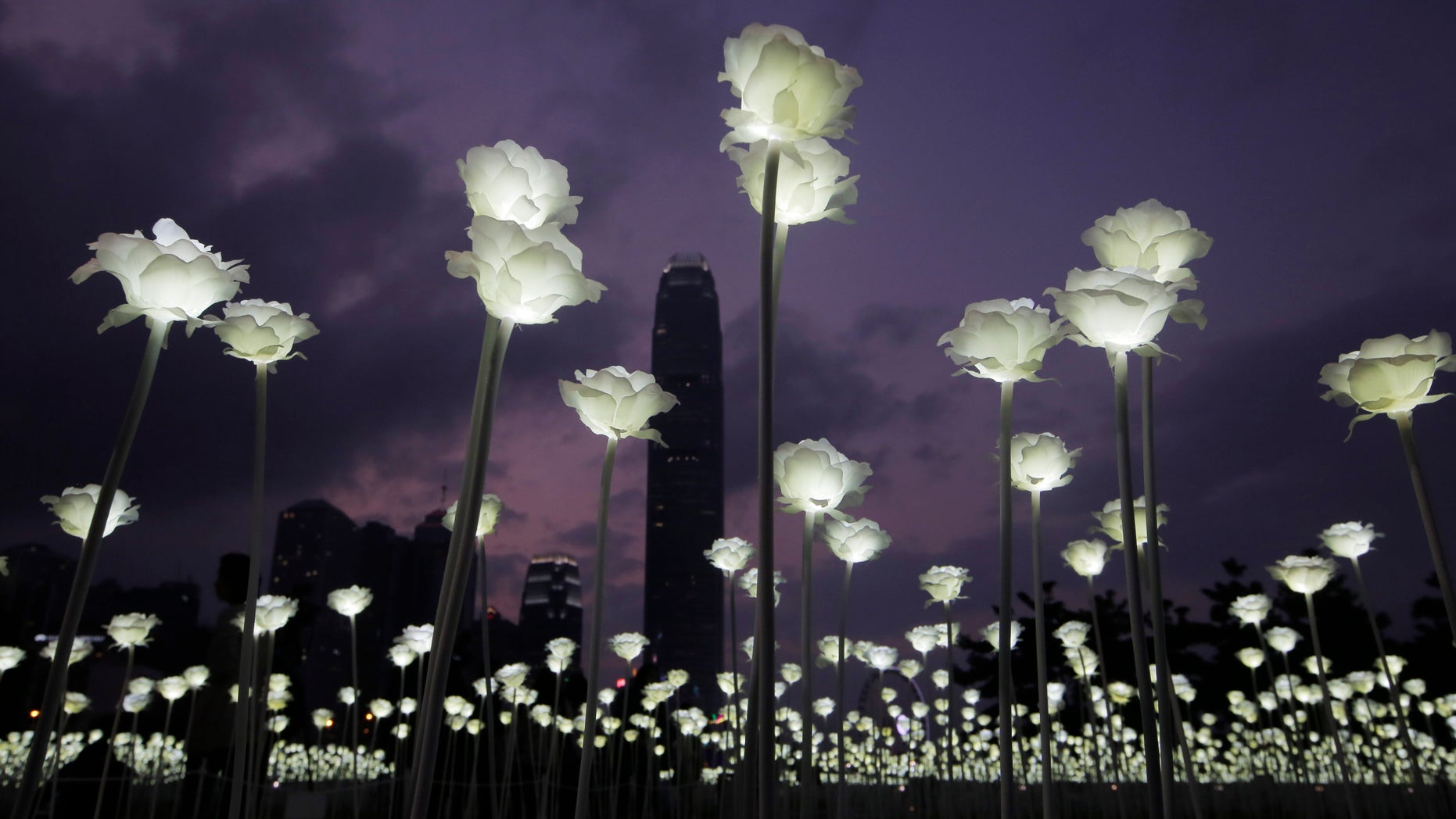 Hong Kong's Light Rose Garden.