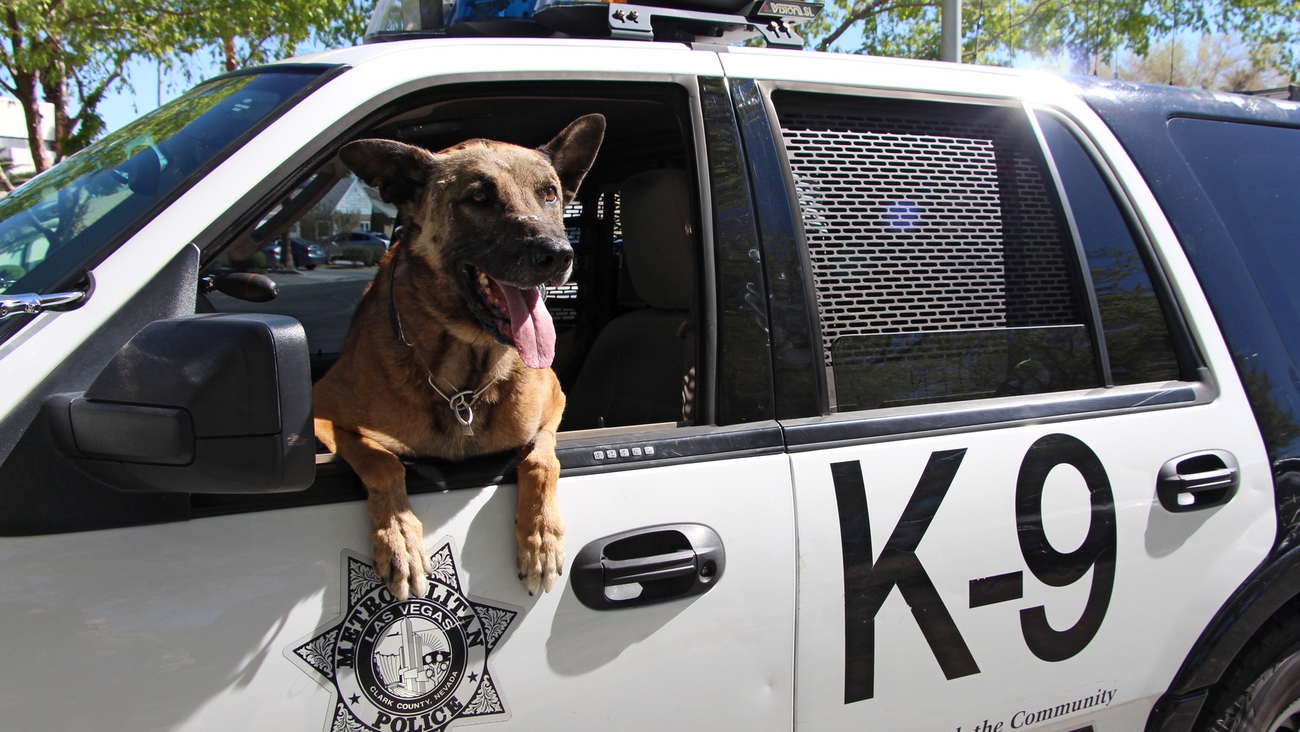 Nicky, the police K-9, in an undated photo.