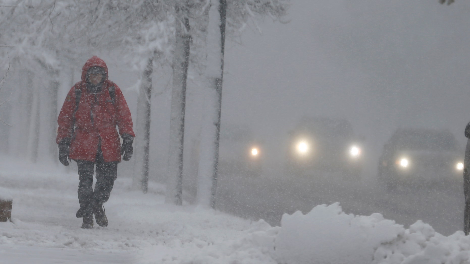 A spring storm packing high winds and wet, heavy snow blankets downtown Denver on Wednesday.