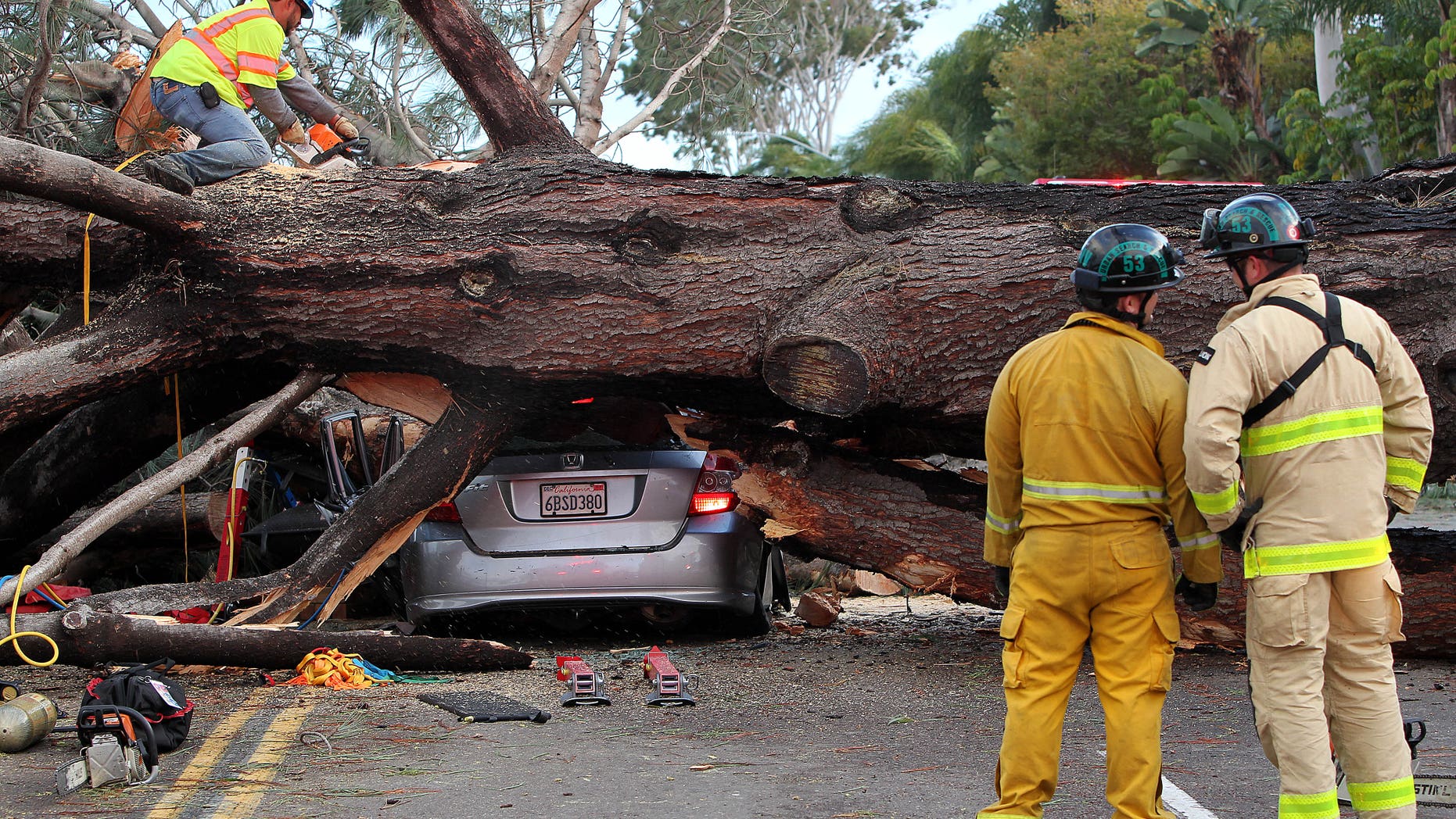 Firefighters work to remove a large tree that fell across multiple lanes of traffic, killing a driver in Pacific Beach, Calif., Sunday.