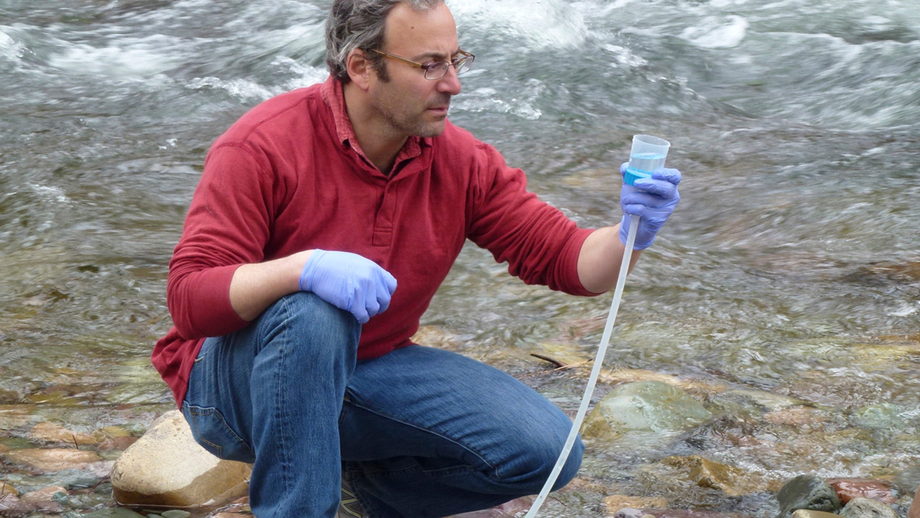 This April 17, 2014 photo provided by the U.S. Forest Service shows Michael K. Schwartz in the process of filtering 5 liters of water to concentrate DNA on a filter to be analyzed at the National Genomics Center for Wildlife and Fish Conservation, on Rattlesnake Creek near Missoula, Mont.