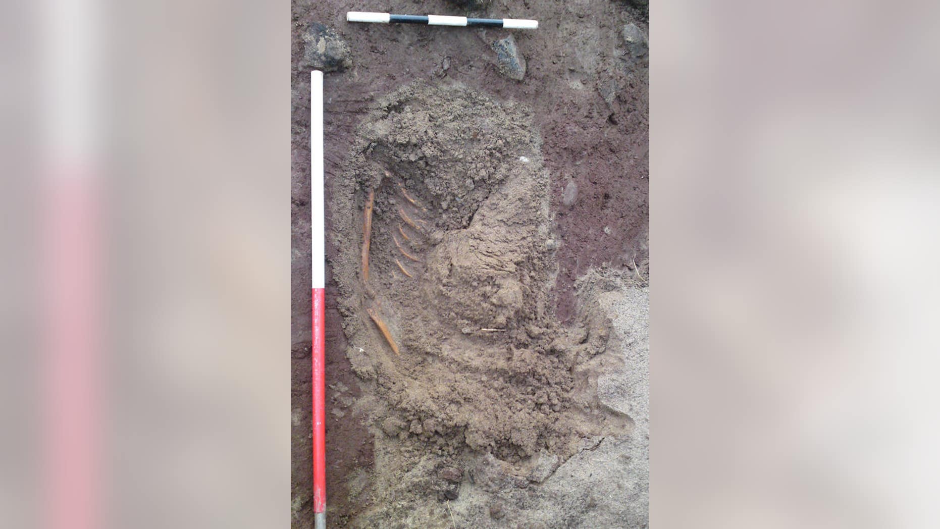 Skeletal remains uncovered by storms