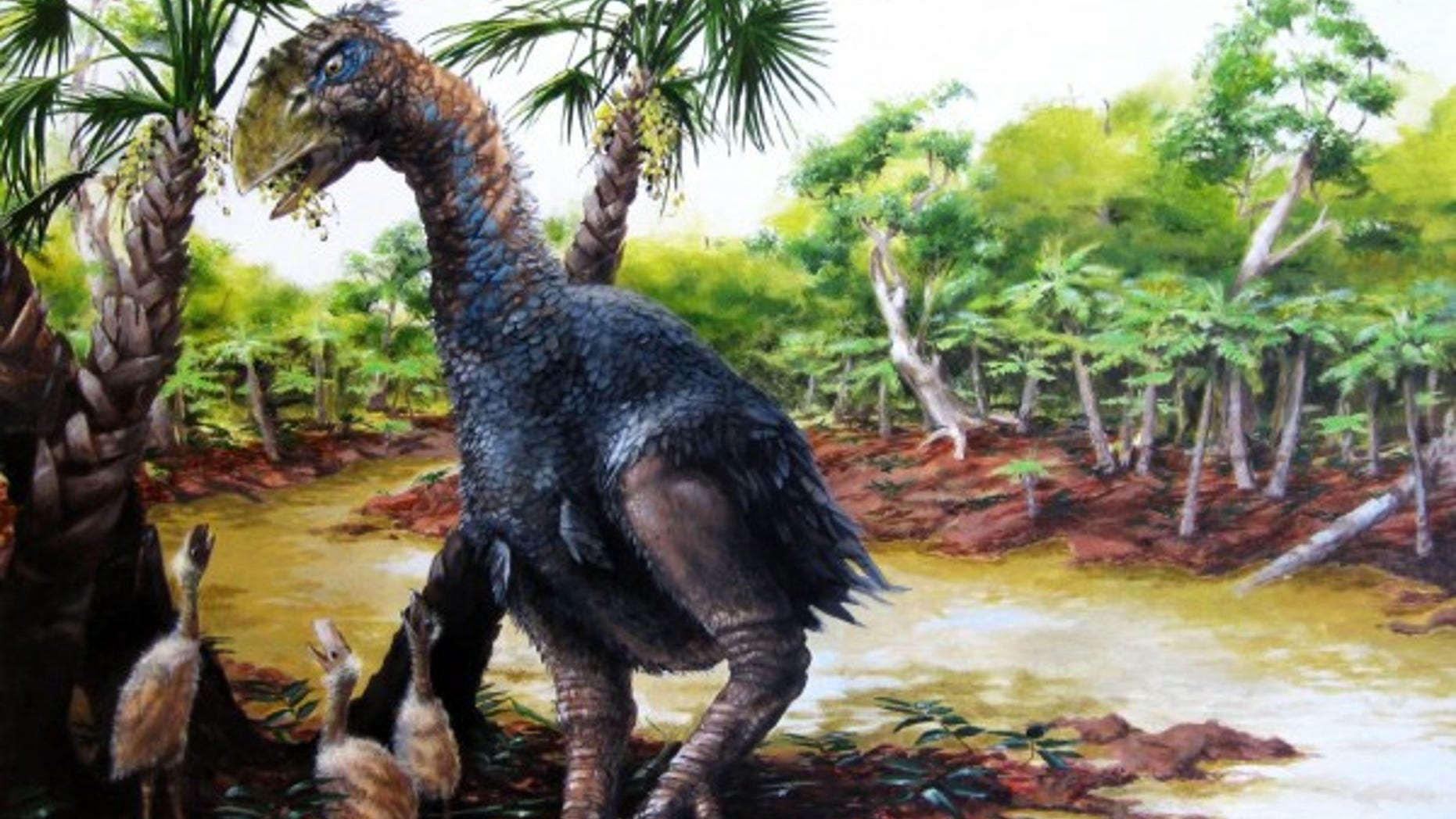 A new study involving CU-Boulder and the Chinese Academy of Sciences has confirmed that a flightless bird weighing several hundred pounds roamed Ellesmere Island in the high Arctic about 50 million years ago. (Illustration by Marlin Peterson)
