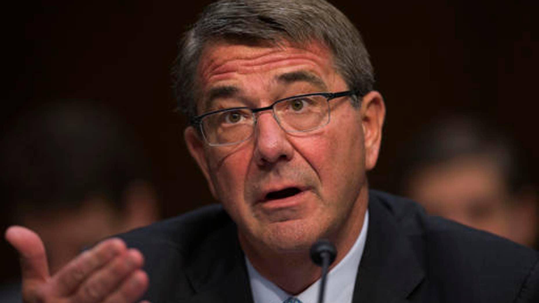 Defense Secretary Ash Carter
