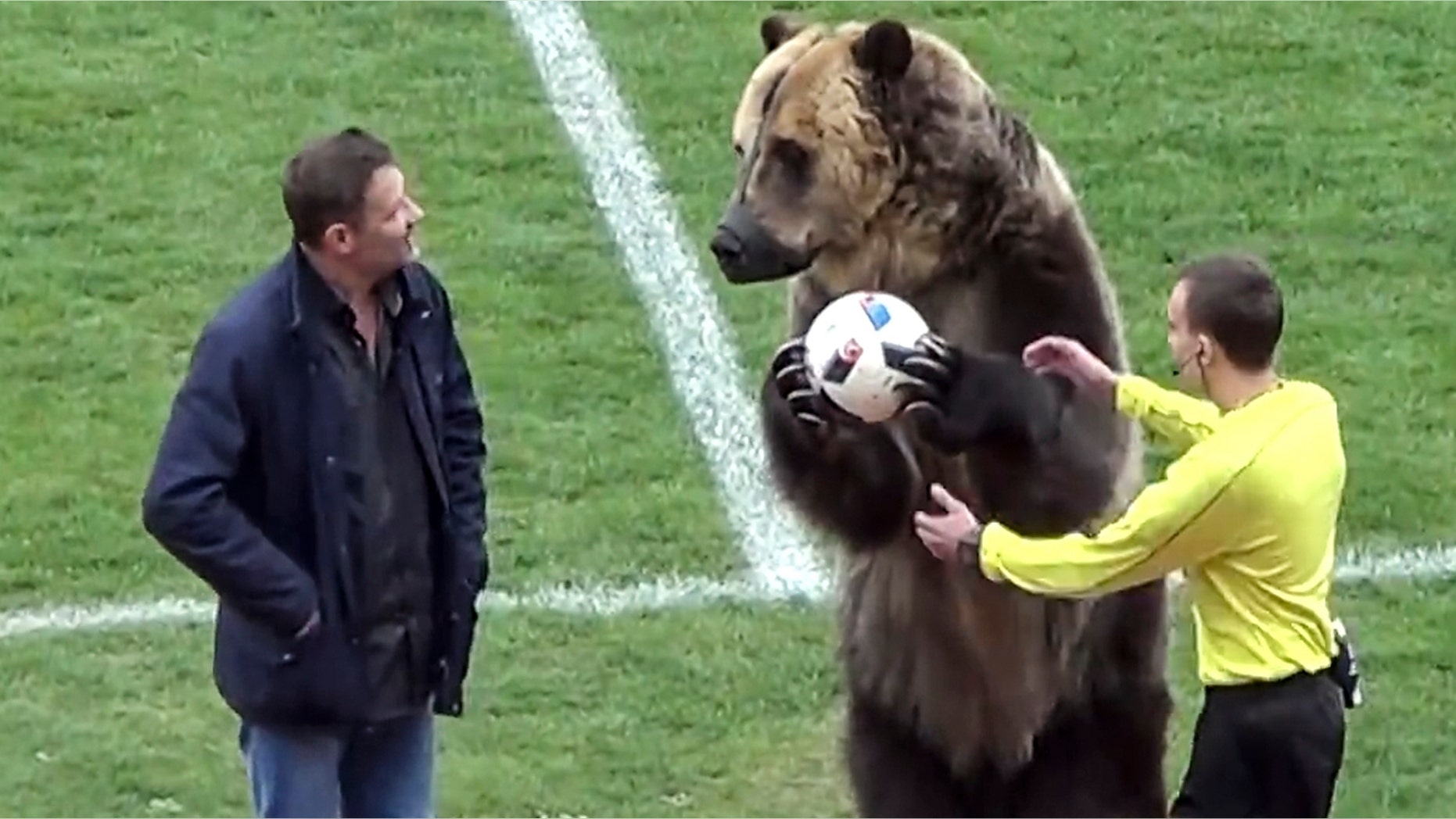 A bear performs before a Russian Second League soccer match.