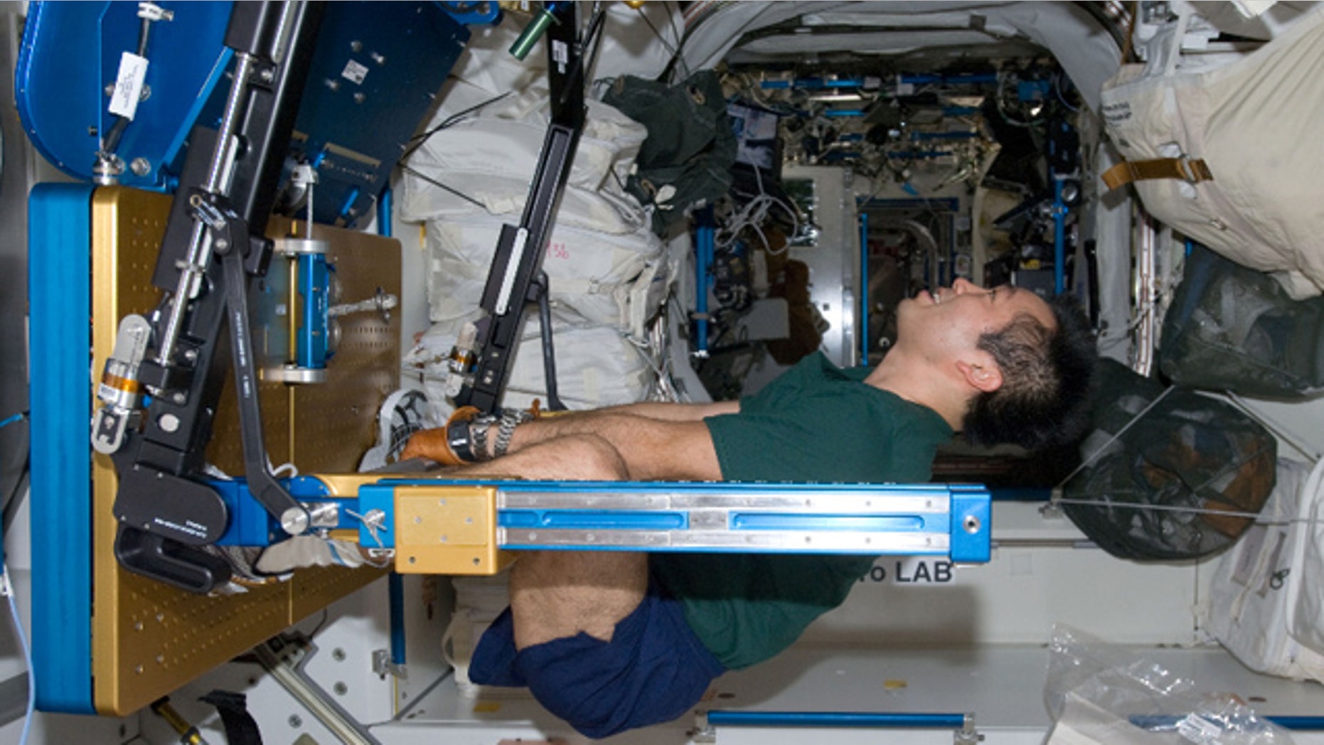 Japan Aerospace Exploration Agency astronaut Koichi Wakata exercises using the Advanced Resistive Exercise Device (ARED) in the International Space Station.