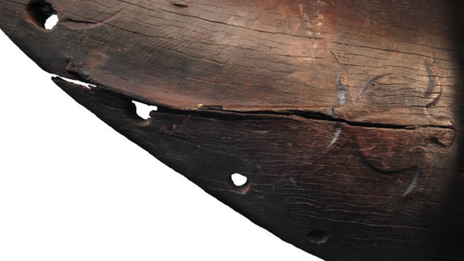 This turtle was carved on the hull of a 600-year-old canoe found in New Zealand. Turtles are rare in pre-European Maori art. The engraving might be a nod to the Maori's Polynesian ancestors, who revered the seafaring reptiles.