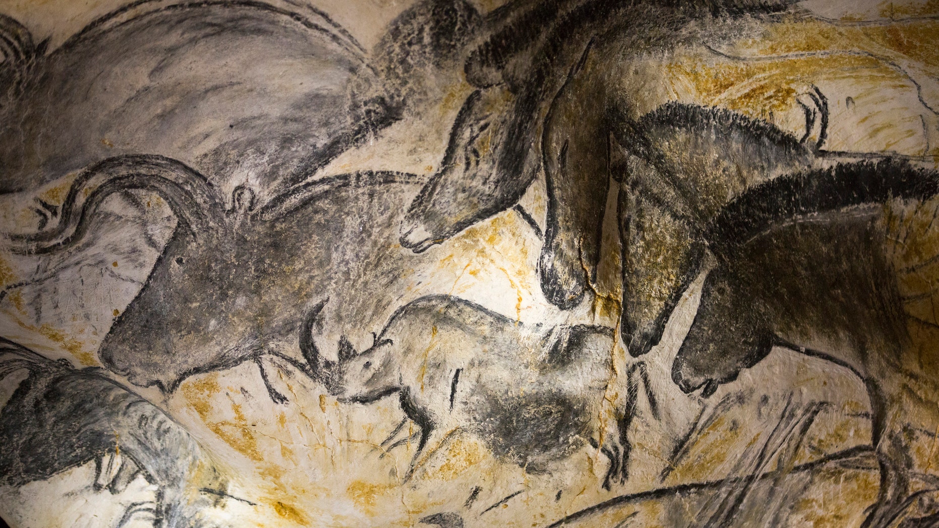 File photo - A replica of pre-historic drawings showing horses, rhinoceros and aurochs is seen on a wall during a press visit at the site of the Cavern of Pont-d'Arc project in Vallon Pont d'Arc April 8, 2015. (REUTERS/Robert Pratta)