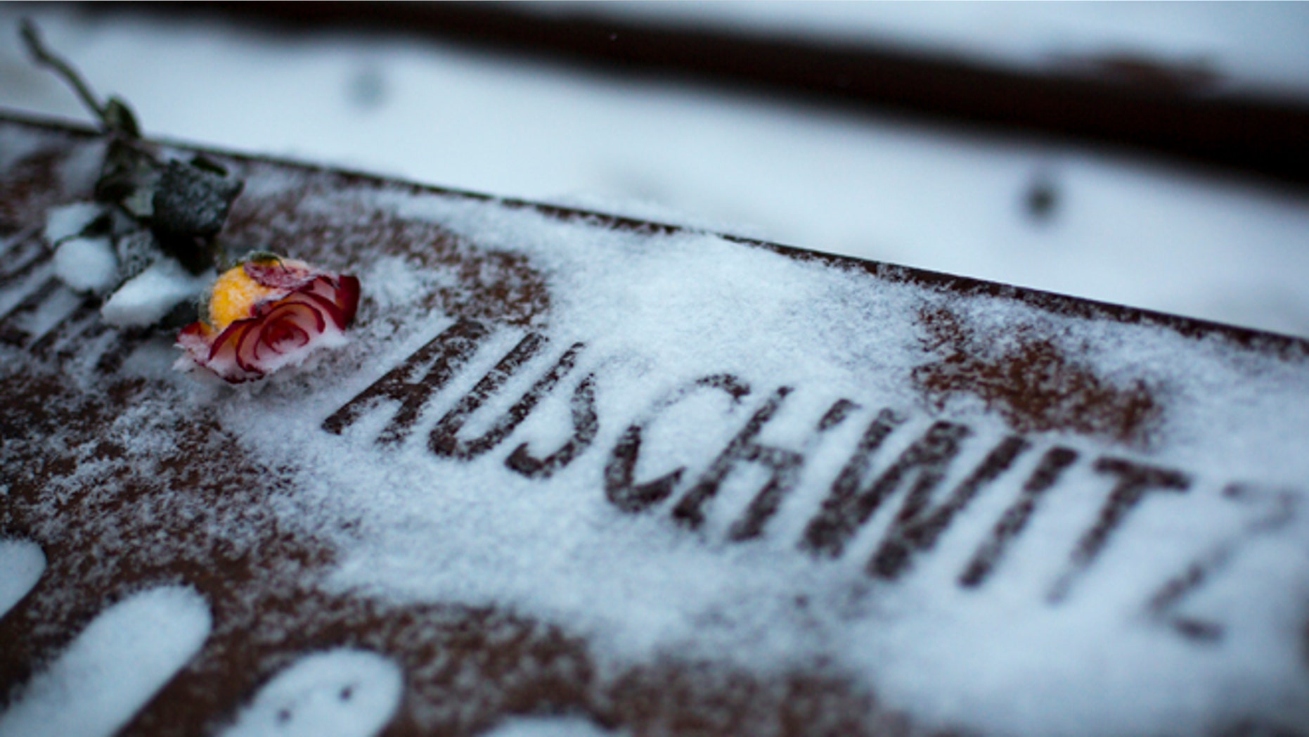 Jan. 25, 2014: A flower lies next to the word Auschwitz, denoting the name of the Nazi concentration camp, at the Gleis 17 (platform 17) memorial commemorating Jews who were deported from Grunewald train station during World War II in Berlin.