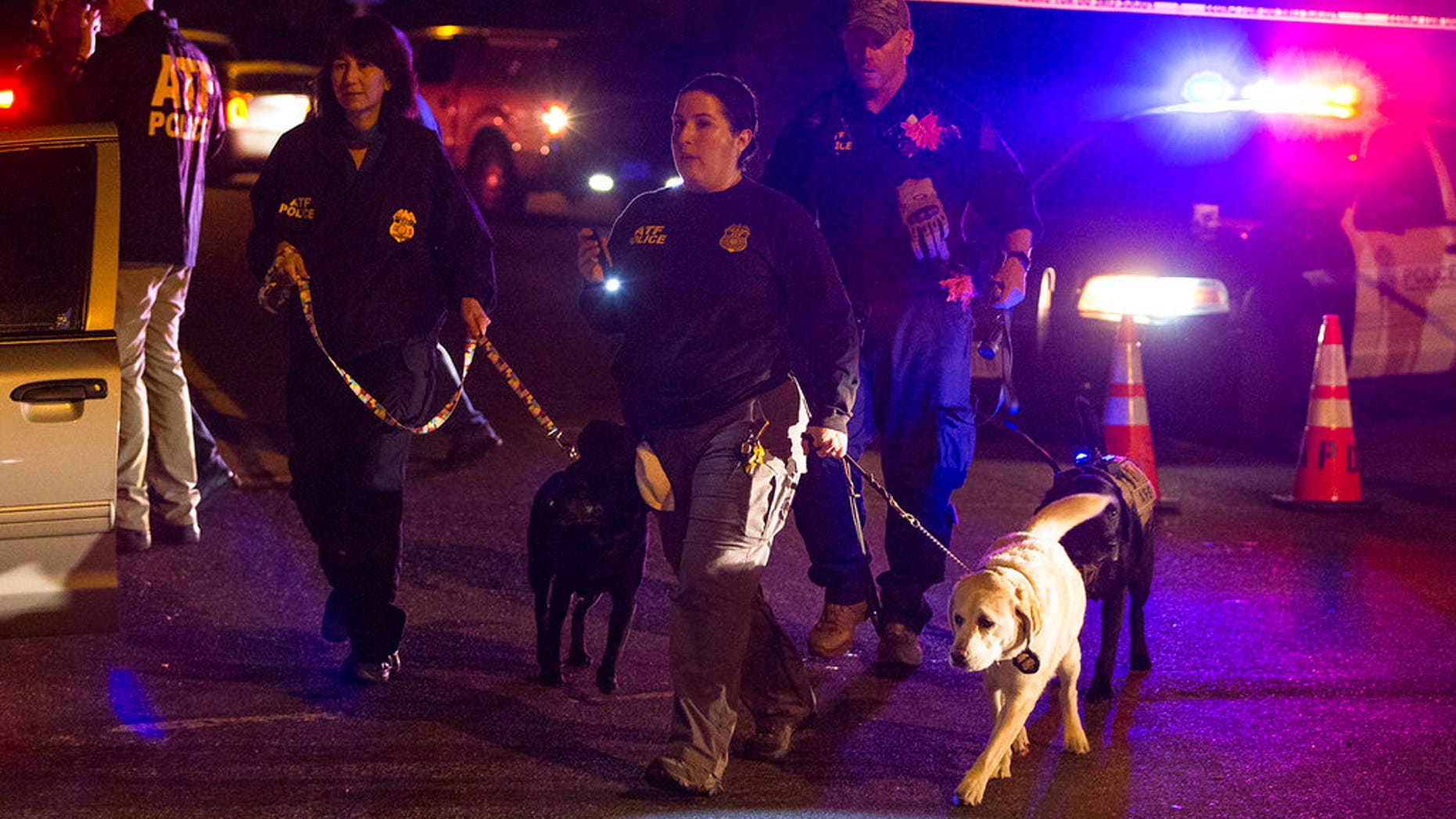 Police dogs and their handlers deploy at the scene of an explosion in southwest Austin, Texas, Sunday, March 18, 2018. Injuries were reported in the explosion, this one coming after three package bombs detonated earlier in the month in other areas of the city, killing two people and injuring two others. (Nick Wagner/Austin American-Statesman via AP)