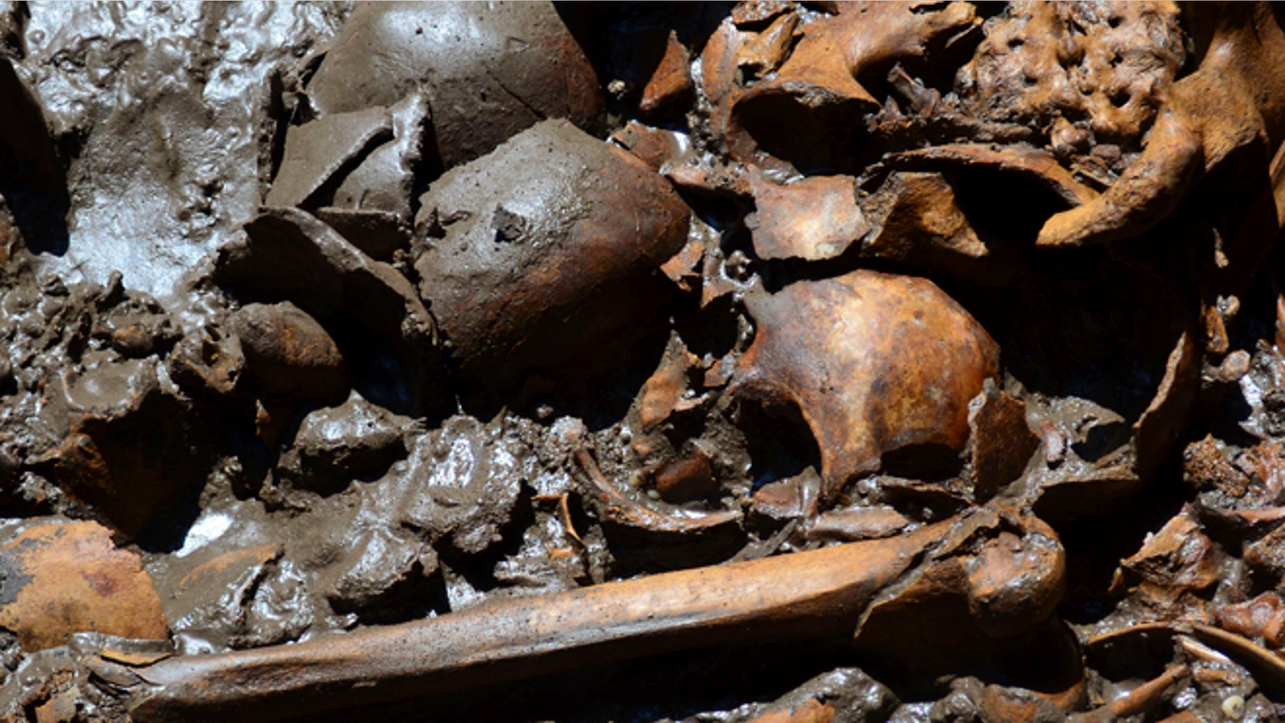 This July 16, 2012 image released by Mexico's National Institute of Anthropology and History (INAH) on Monday Aug. 6, 2012, shows a human burial that was found next to what may have been a "sacred tree" at one edge of the plaza in Mexico City's Templo Mayor, the most sacred site of the Aztec capital.