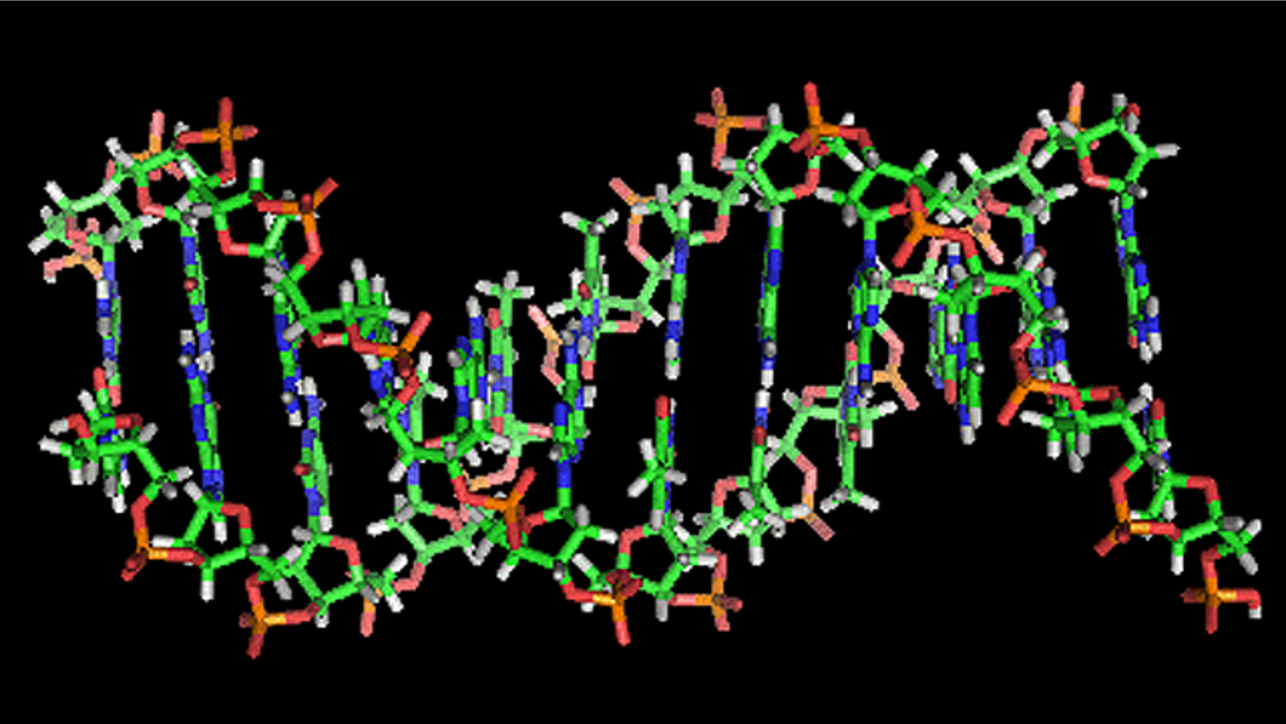 An illustration of the double-helix structure of a strand of DNA.