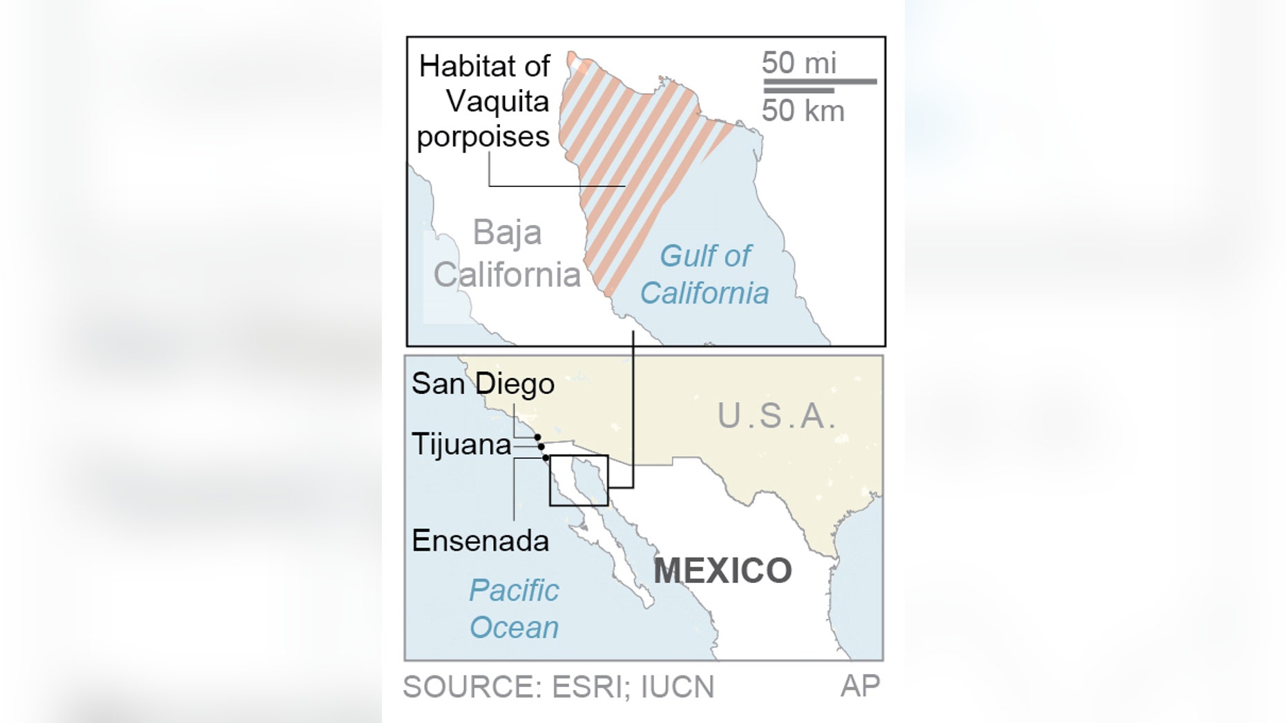 Mexico plans to catch, protect last few vaquita porpoises