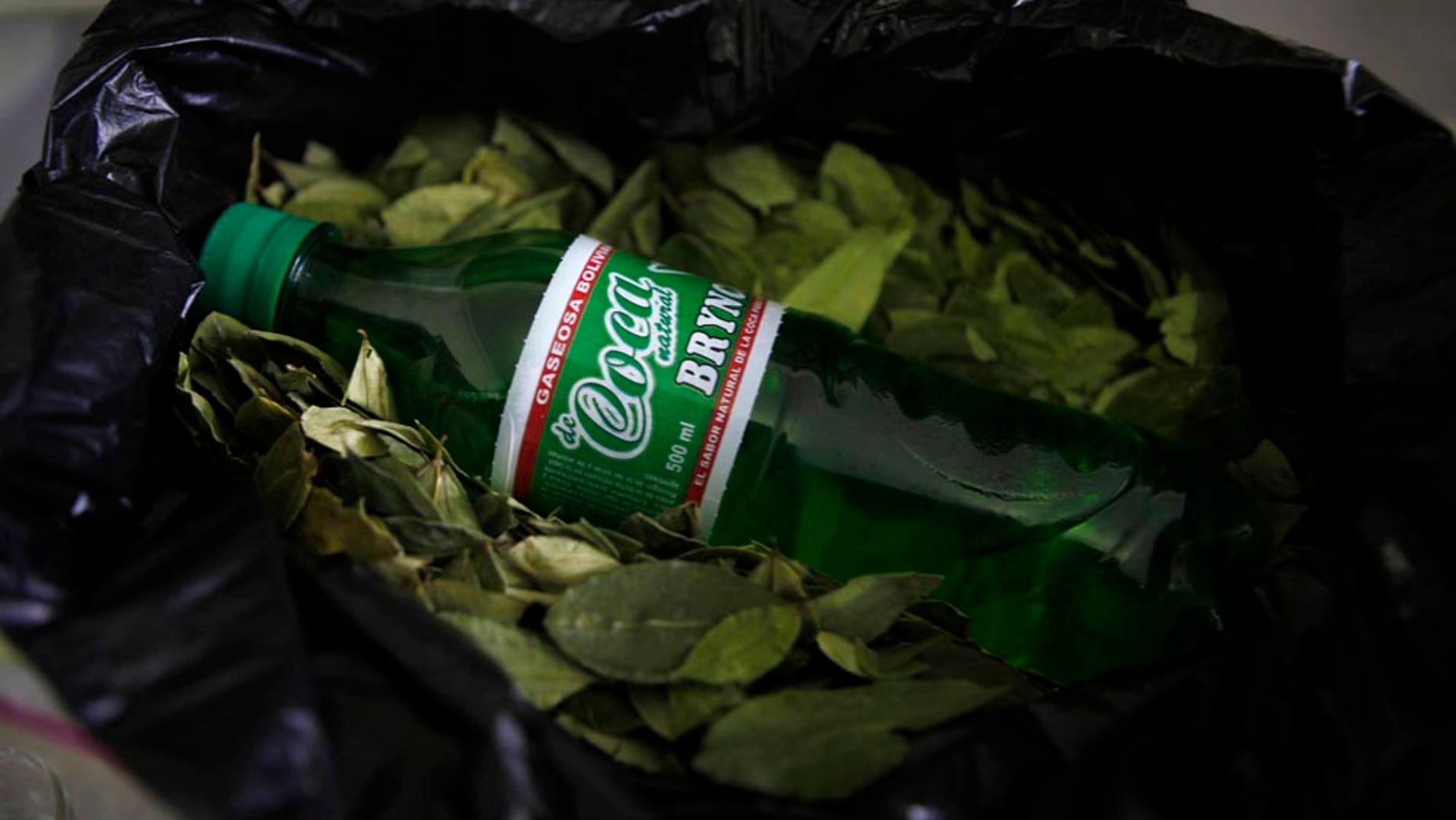 A bottle of Coca Brynco soda sits on display on top of coca leaves at the the Soda Pacena private soda company in El Alto, Bolivia, Friday Jan. 14, 2011. Coca Brynco is a Bolivian soda made with coca leaves. (AP Photo/Juan Karita)