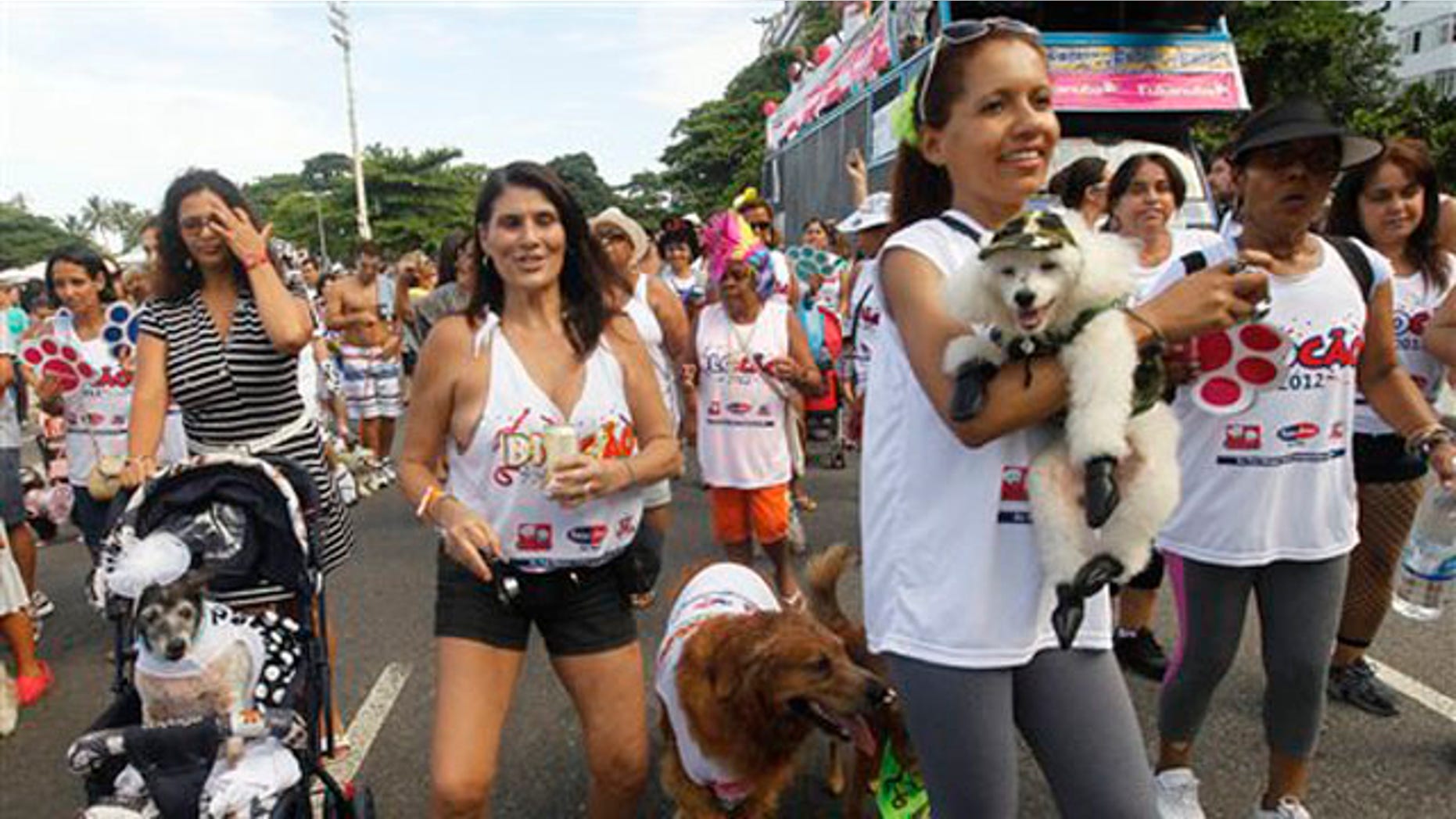 Feb. 12, 2012: Pople take their dogs to the "Blocao" dog carnival parade in Rio de Janeiro, Brazil.