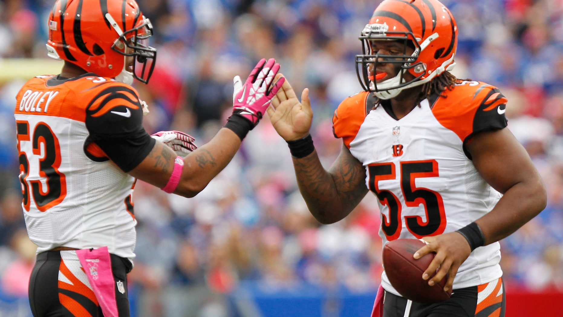 Cincinnati Bengals outside linebacker Vontaze Burfict (55) is greeted by Michael Boley after recovering a fumble against the Buffalo Bills in the third quarter of an NFL football game on Sunday, Oct. 13, 2013, in Orchard Park, N.Y. The Bengals beat the Bills 27-24. (AP Photo/Bill Wippert)