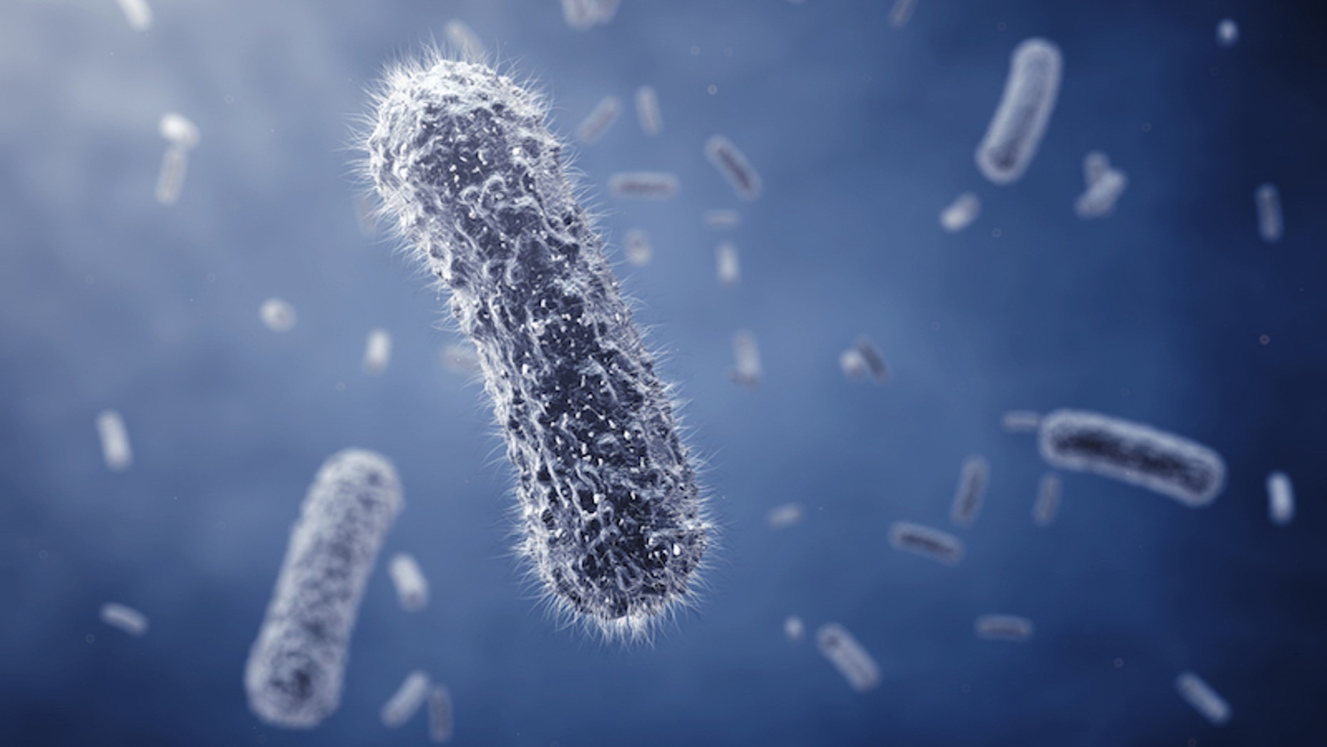 A study found that people with chronic fatigue syndrome had higher levels of certain gut bacteria and lower levels of others compared to healthy people who didn't have the condition.