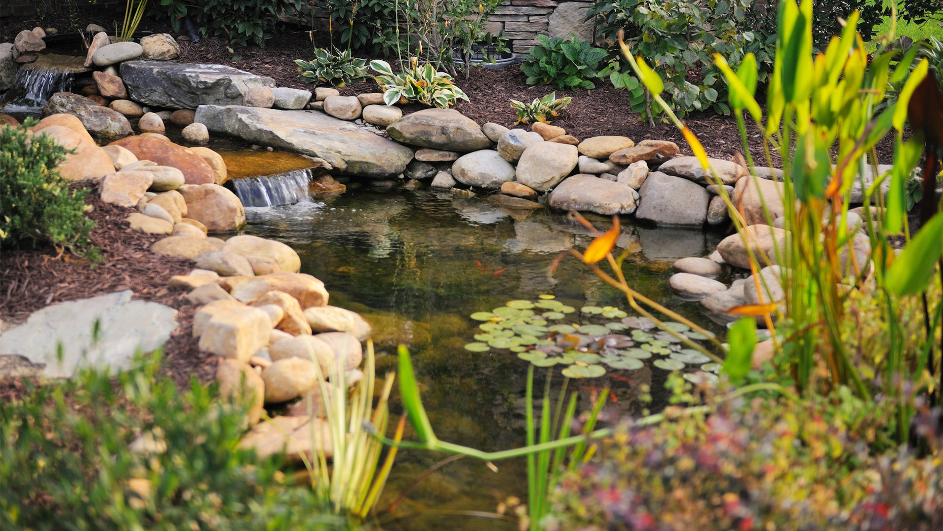 How To Build A Small Backyard Pond   Backyard Pond 8072c341ba9e5510VgnVCM100000d7c1a8c0     