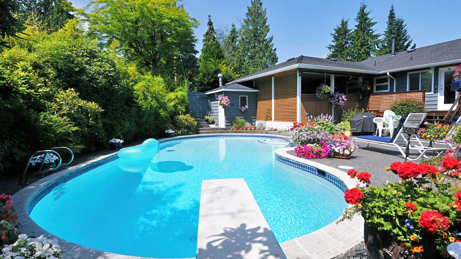 backyard-pool