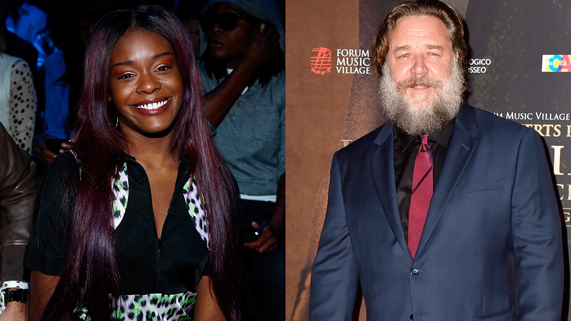 Azealia Banks started a GoFundMe campaign so that she could sue Russell Crowe.