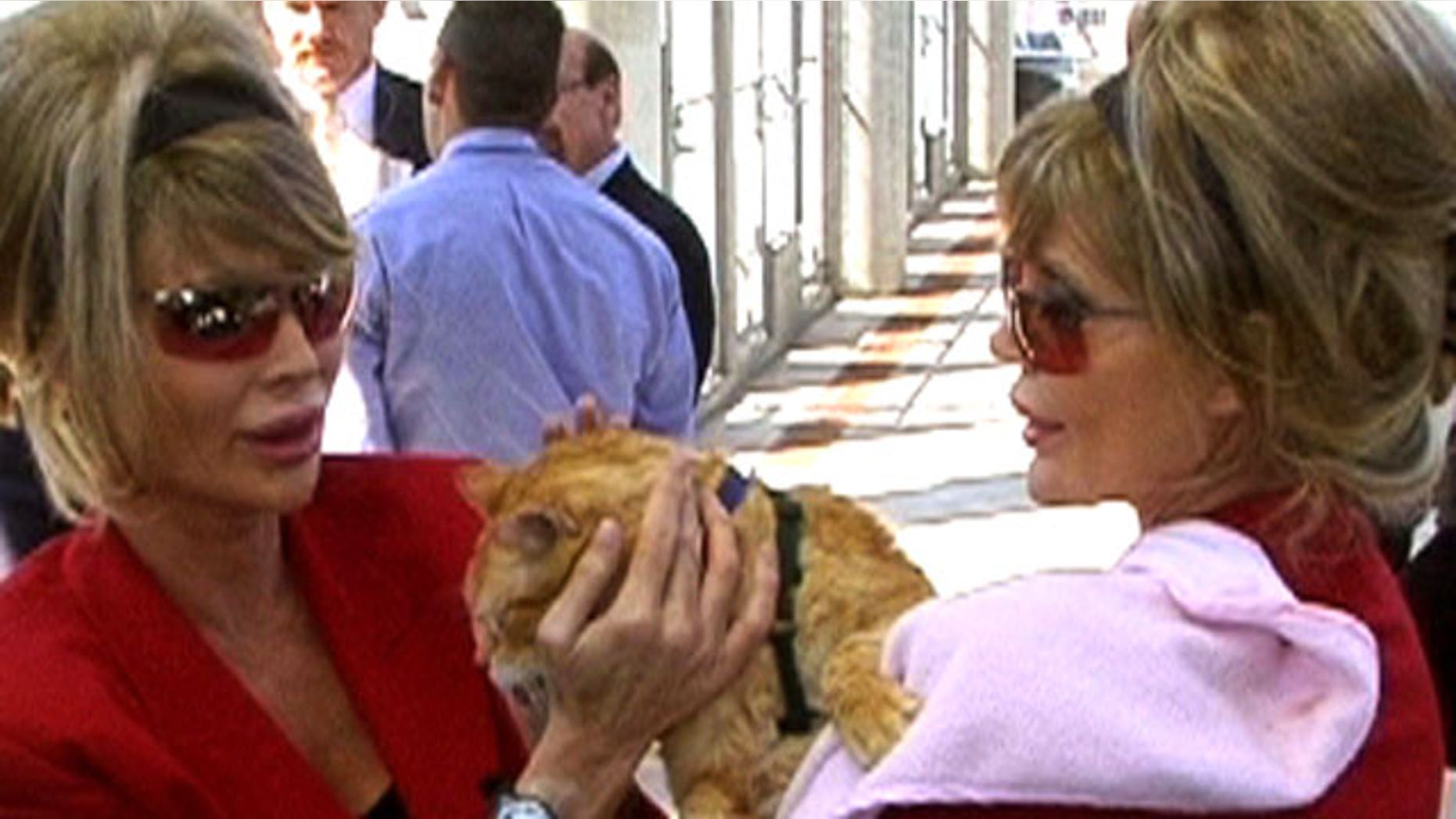 The Barbi Twins pose with a kitty.