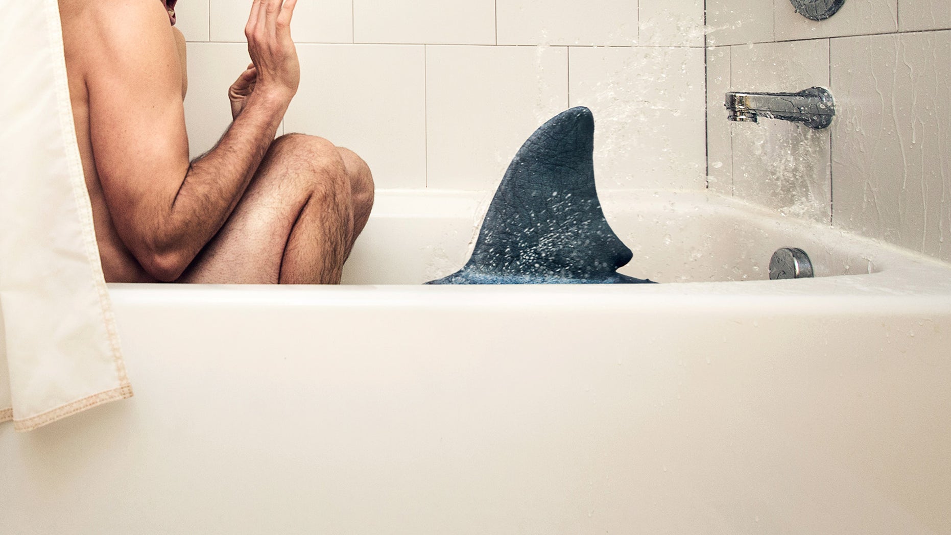 bathroom shark attack
