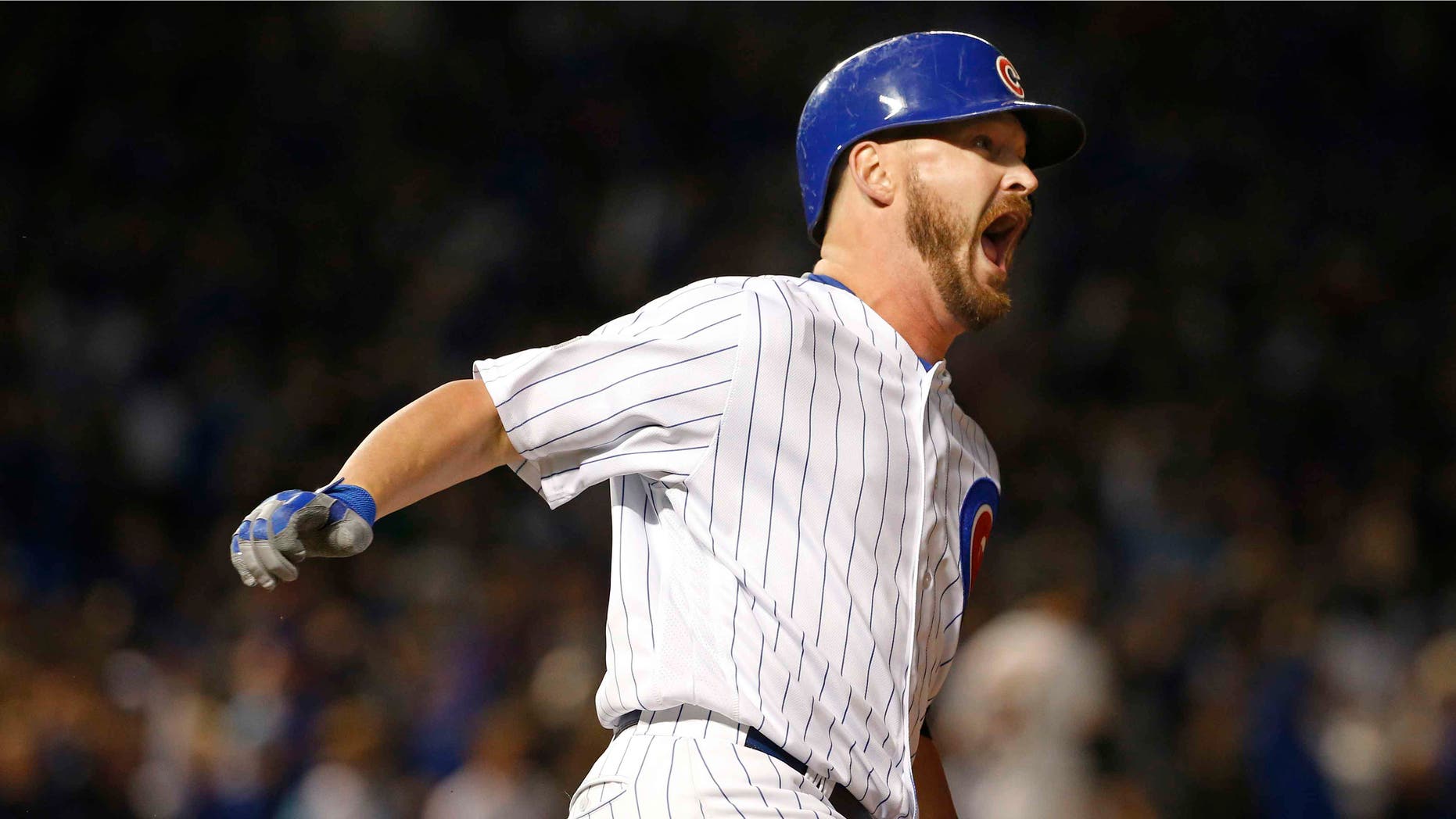 Chicago Cubs' Travis Wood on Saturday, Oct. 8, 2016, in Chicago.