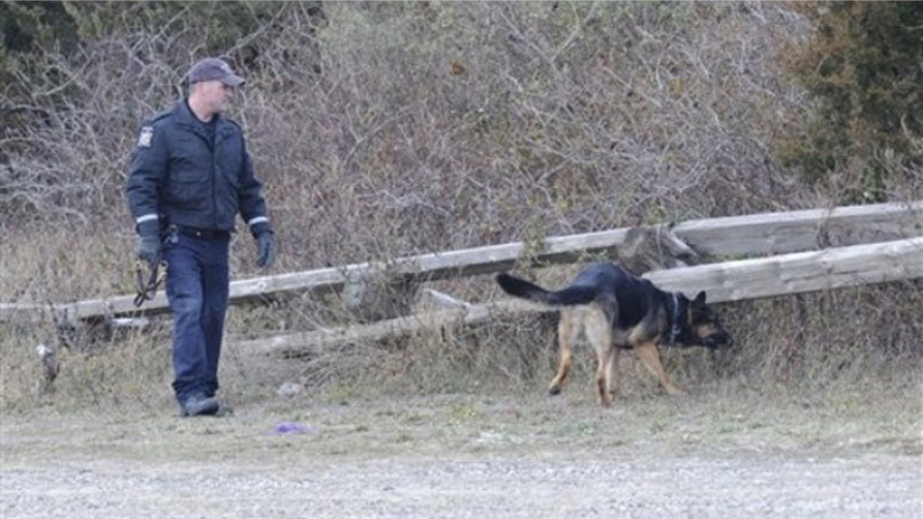 K-9 unit police use a cadaver dog to search an area in Oak Beach last month (AP).
